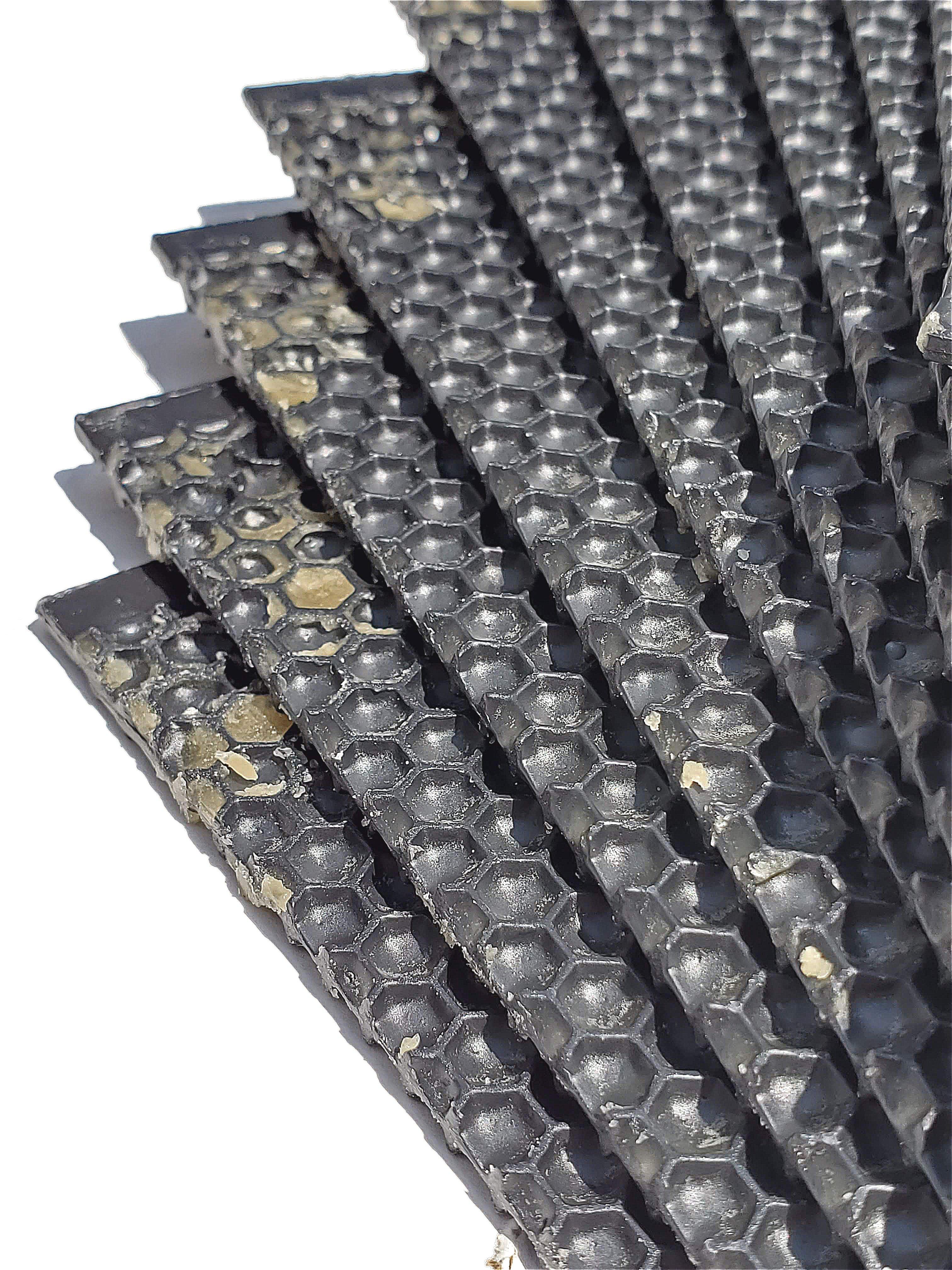 Medium, Black Plastic Foundation with Double Beeswax - Image 8