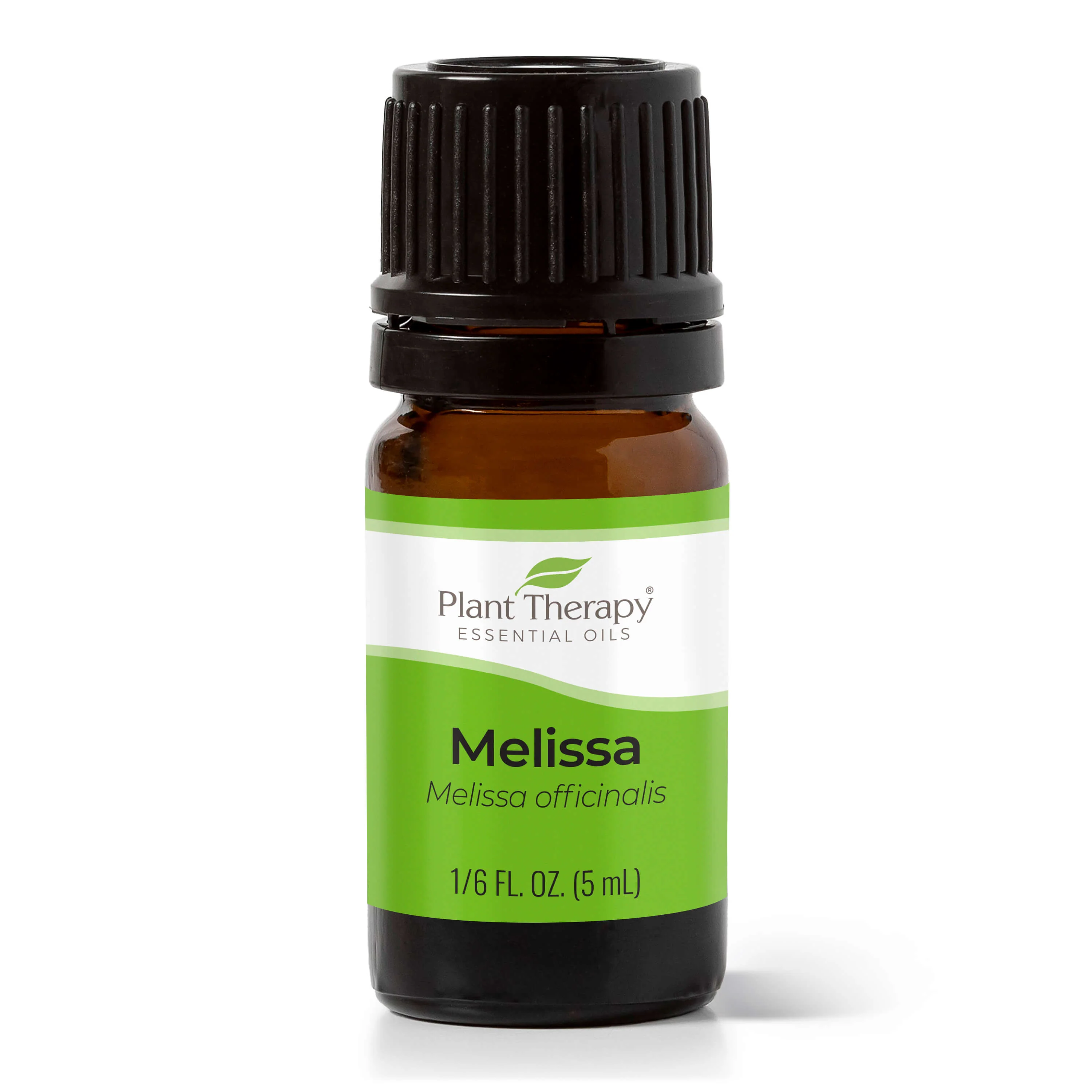 Melissa Essential Oil - Image 12