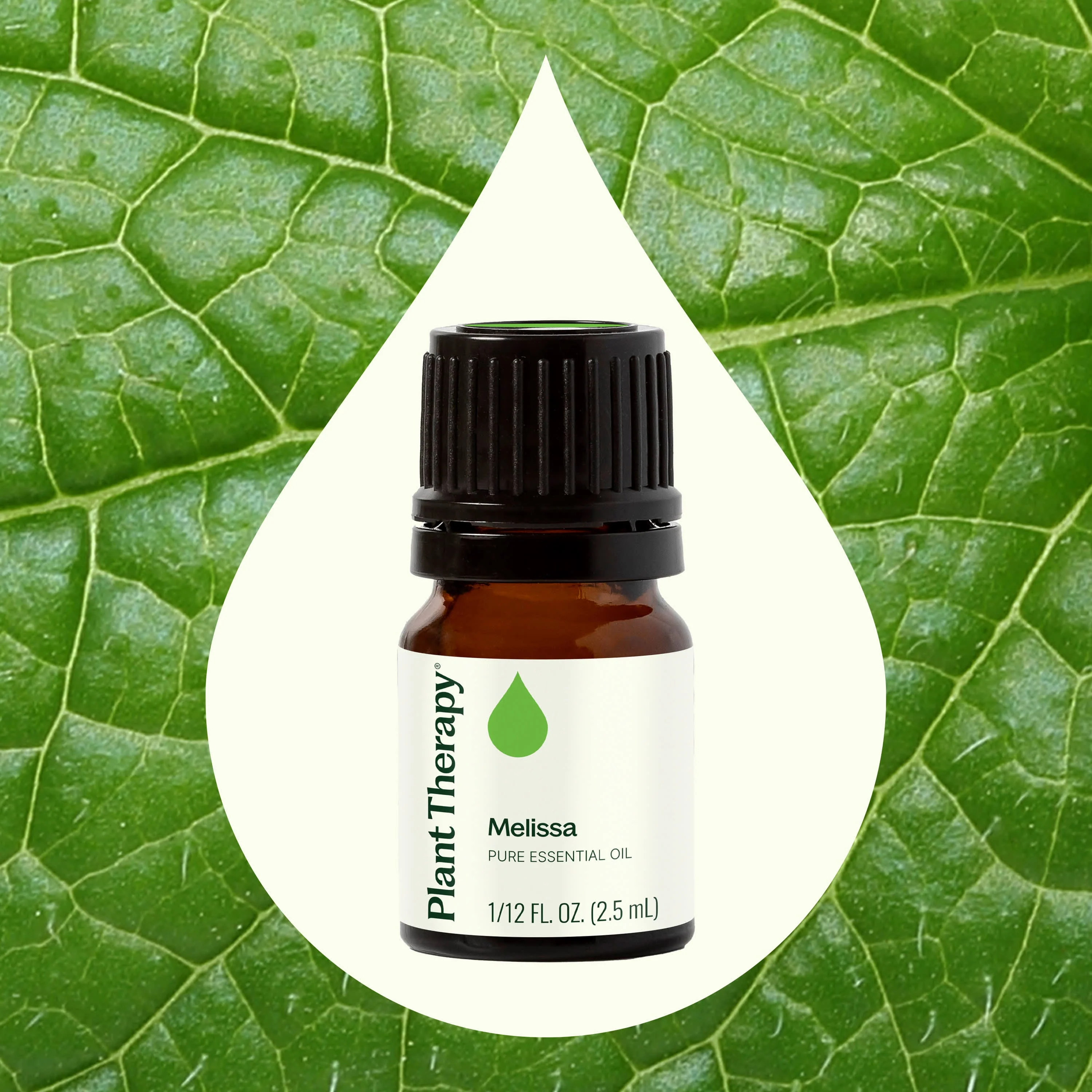 Melissa Essential Oil - Image 2
