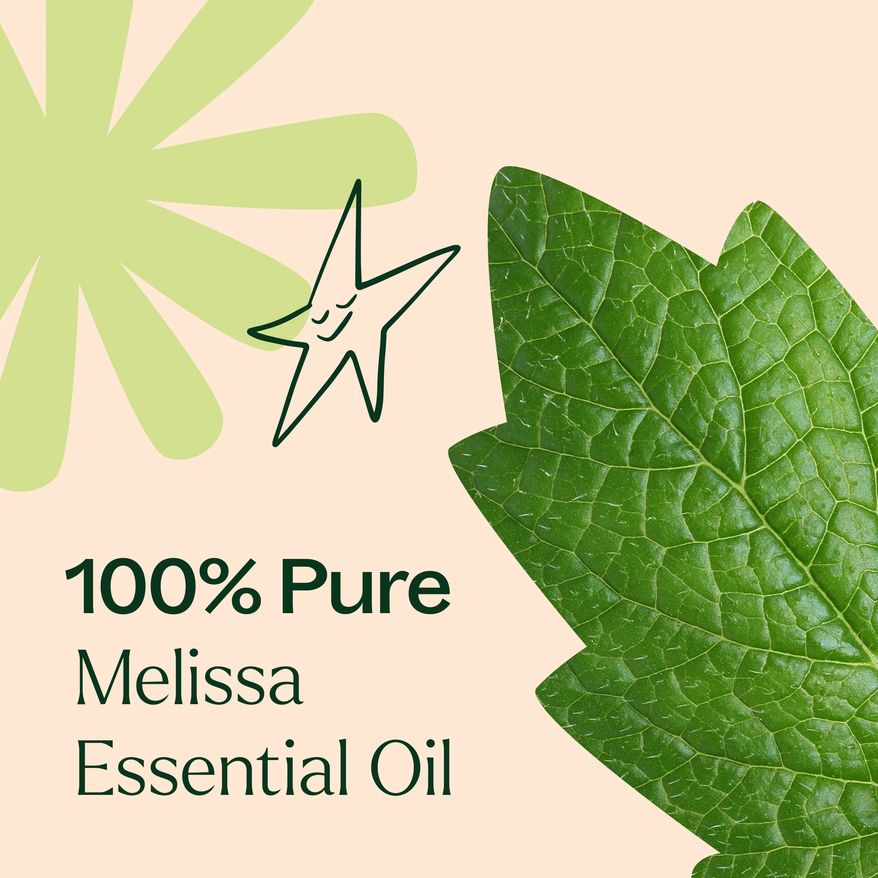 Melissa Essential Oil - Image 4