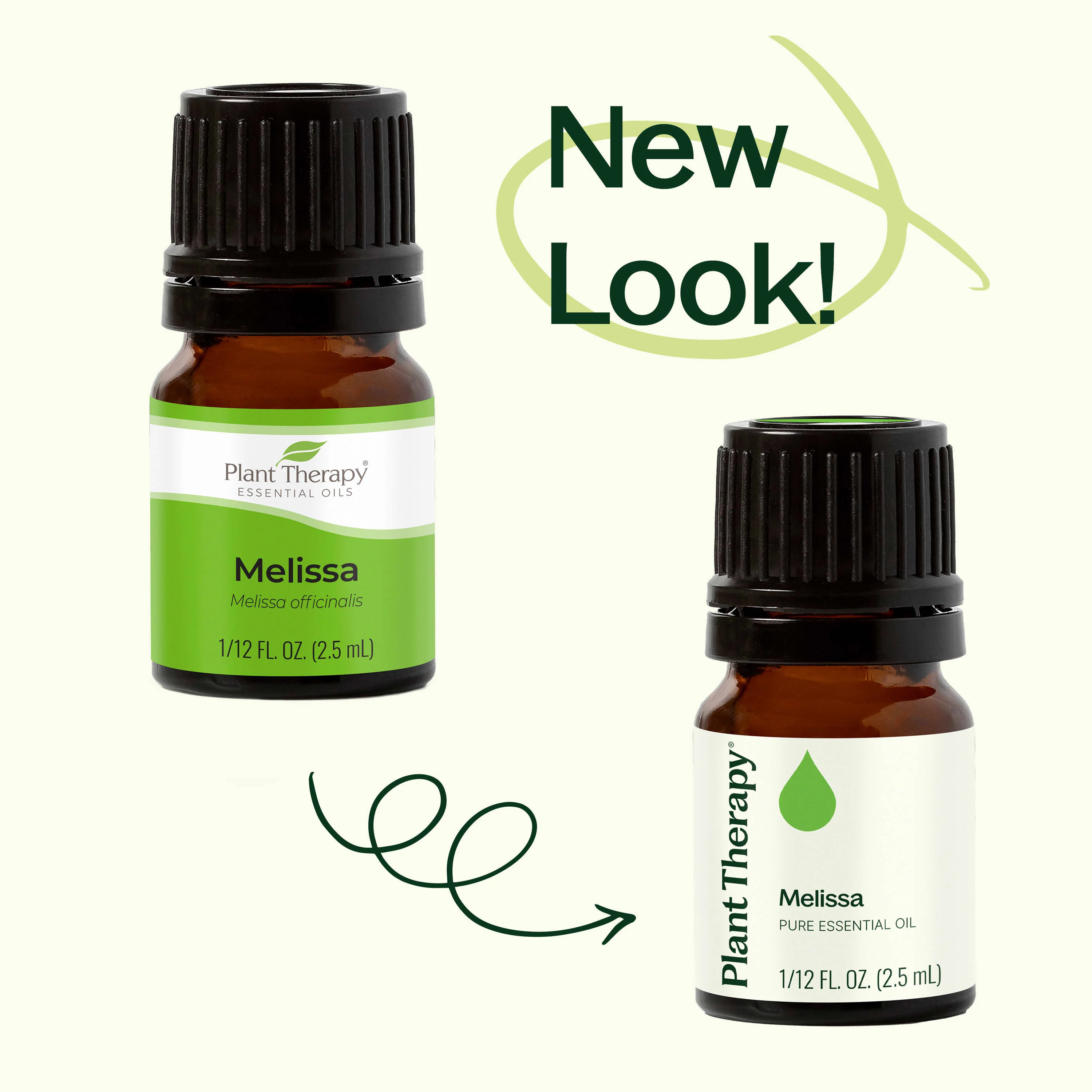 Melissa Essential Oil - Image 7