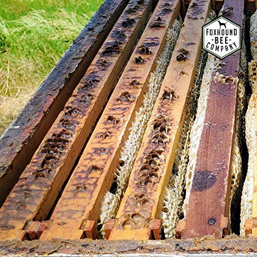 Metal Frame Spacers for 9-Frames - Image 6