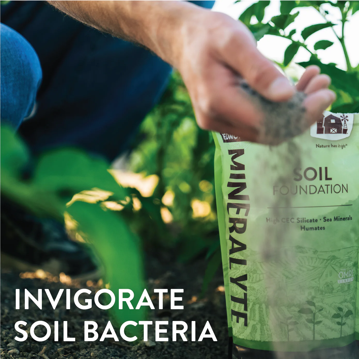 Mineralyte Soil Amendments - Image 10