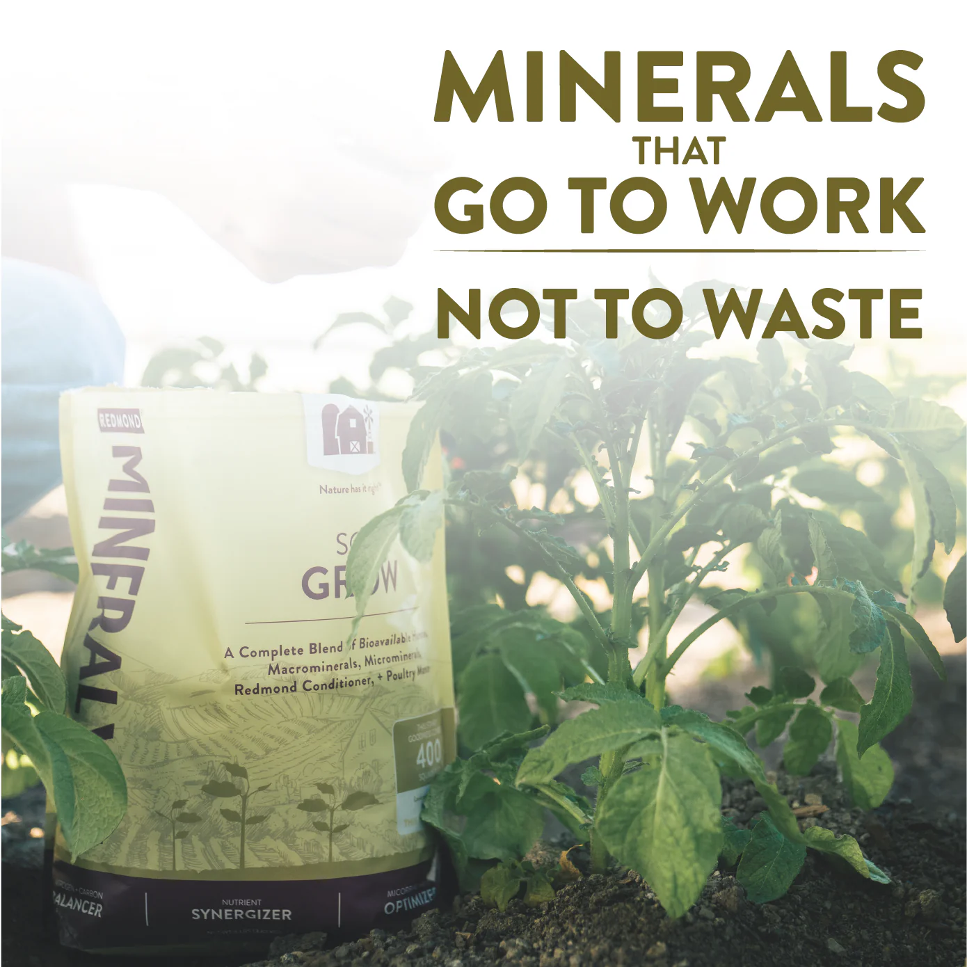Mineralyte Soil Amendments - Image 8