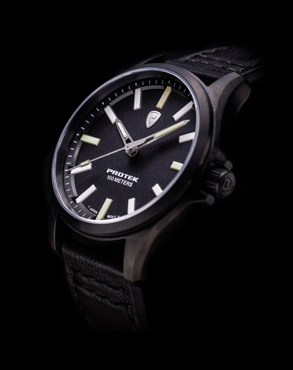 Model PT3002 - Image 4
