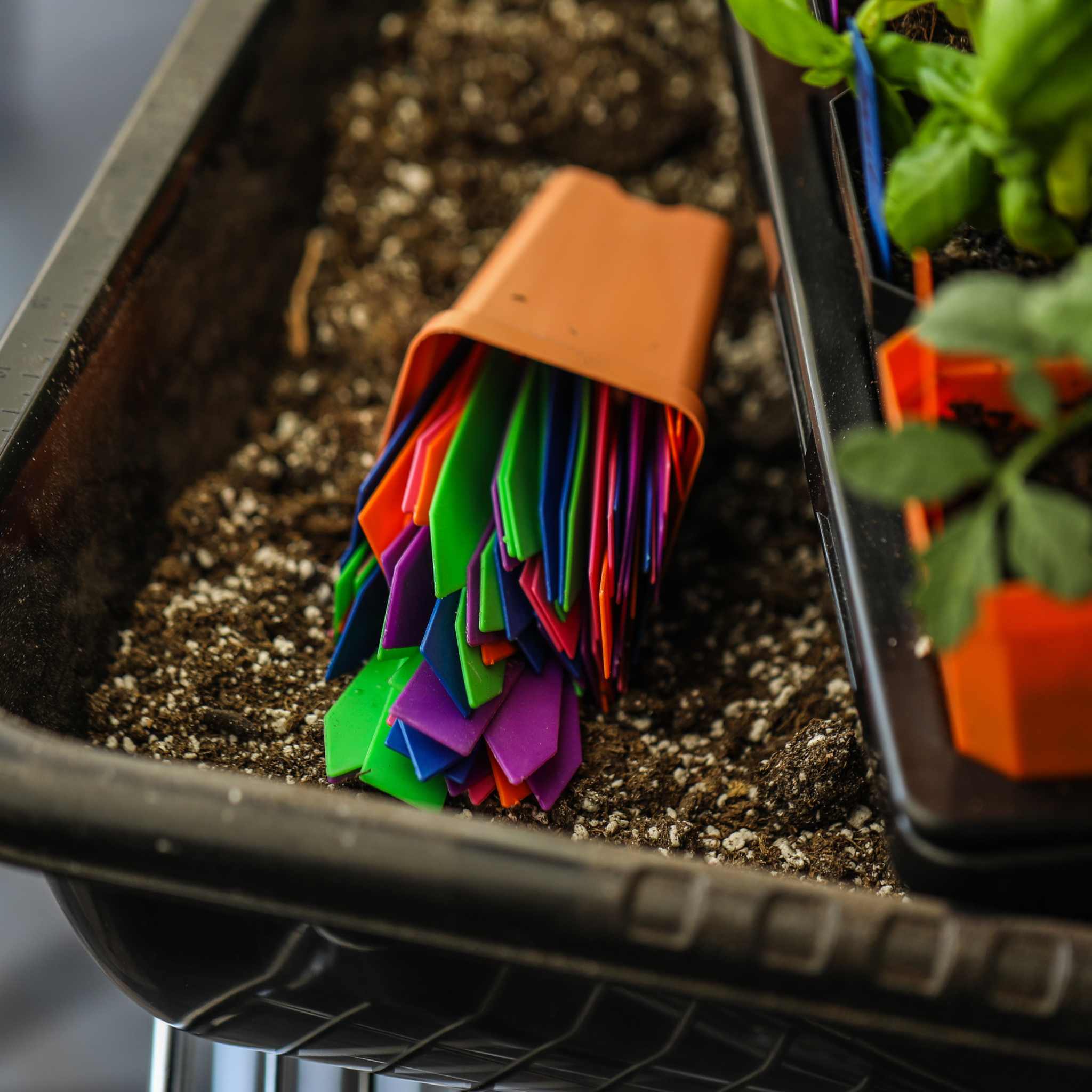Multi-color Plant Labels | 100 count - Image 6
