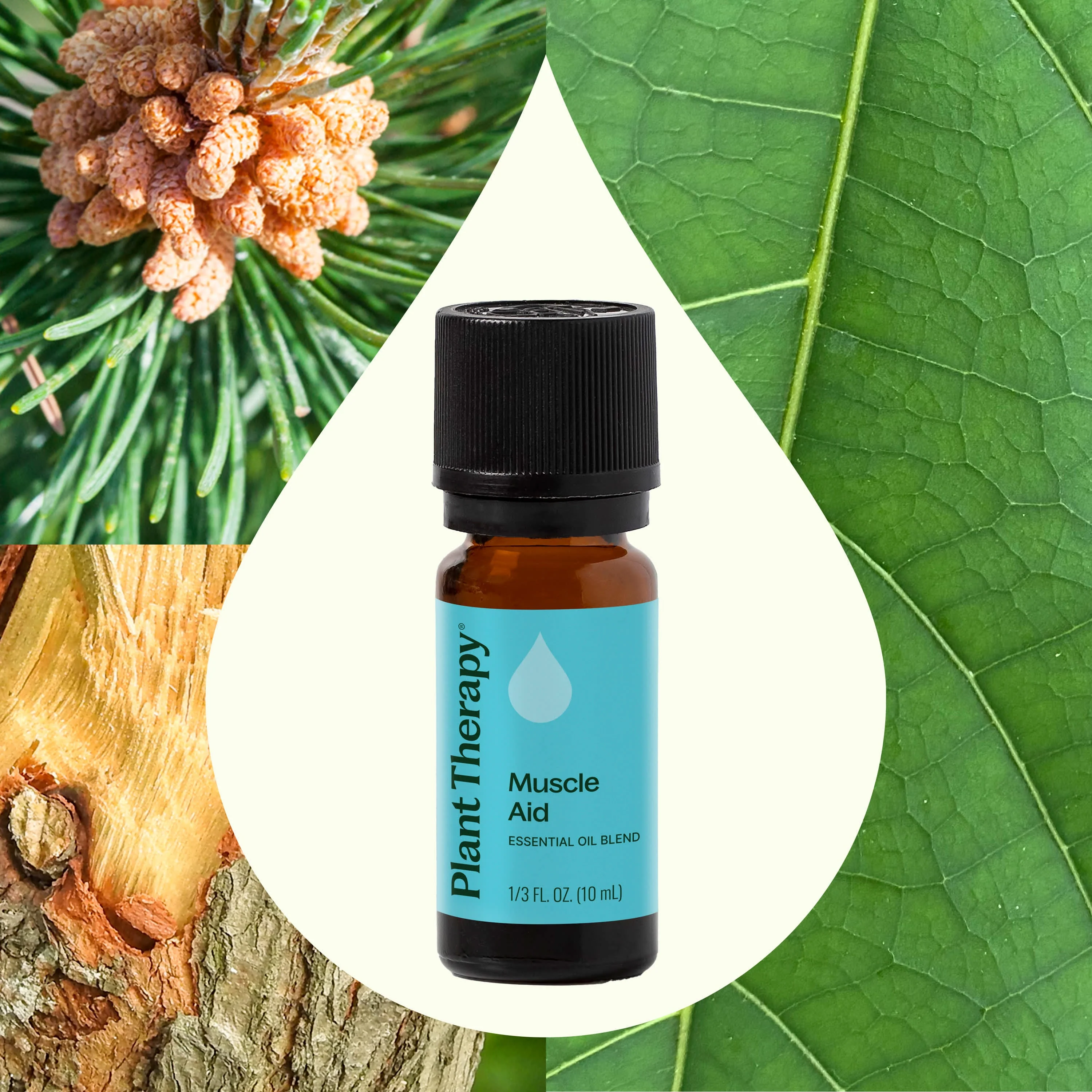 Muscle Aid Essential Oil Blend - Image 2