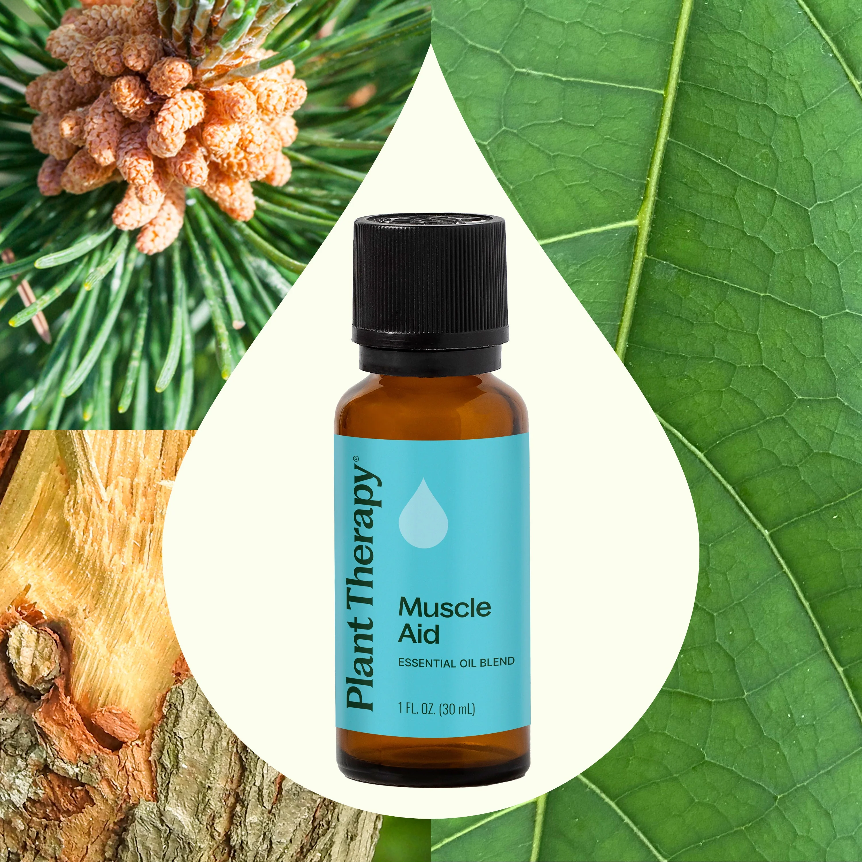 Muscle Aid Essential Oil Blend - Image 4