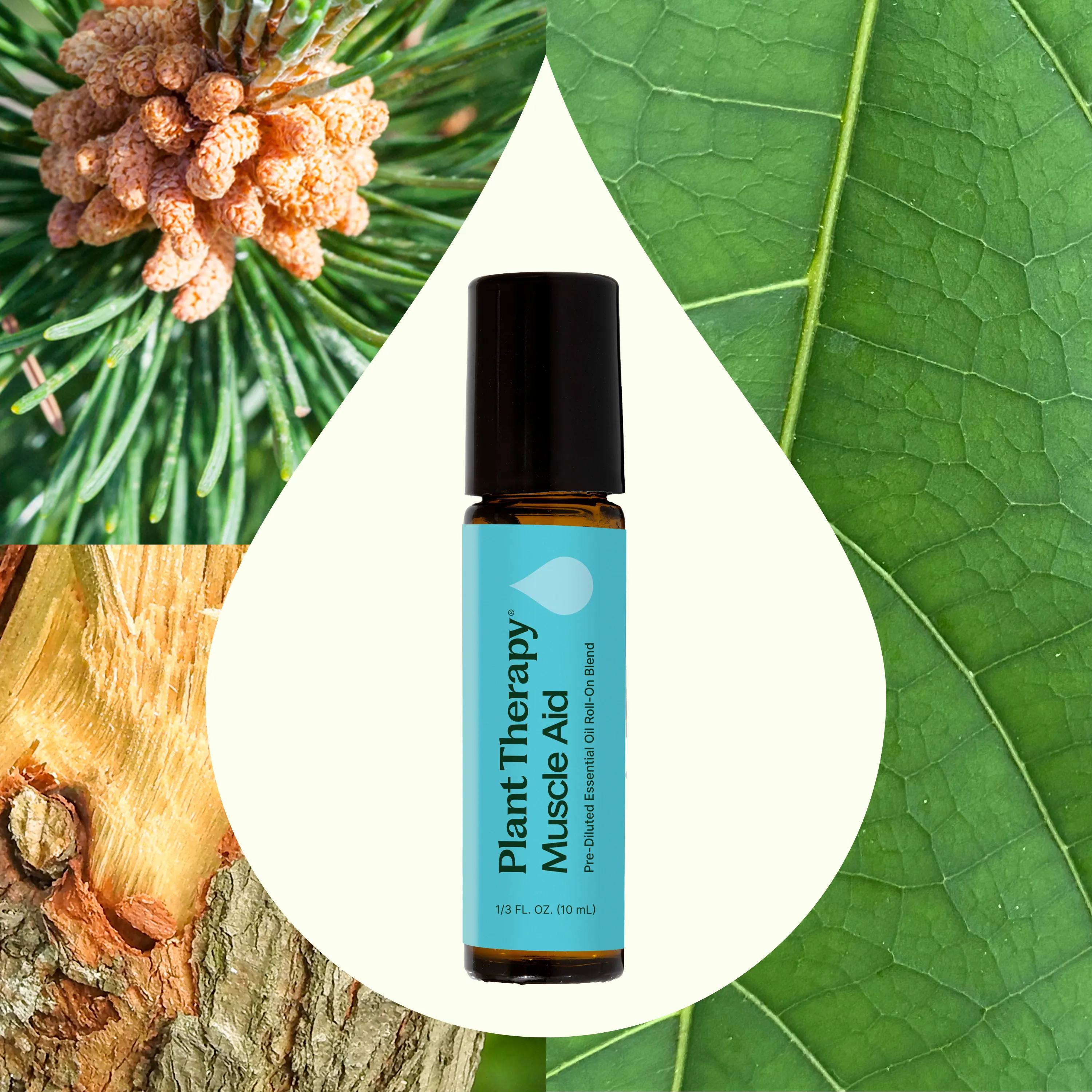 Muscle Aid Essential Oil Blend Pre-Diluted Roll-On - Image 2
