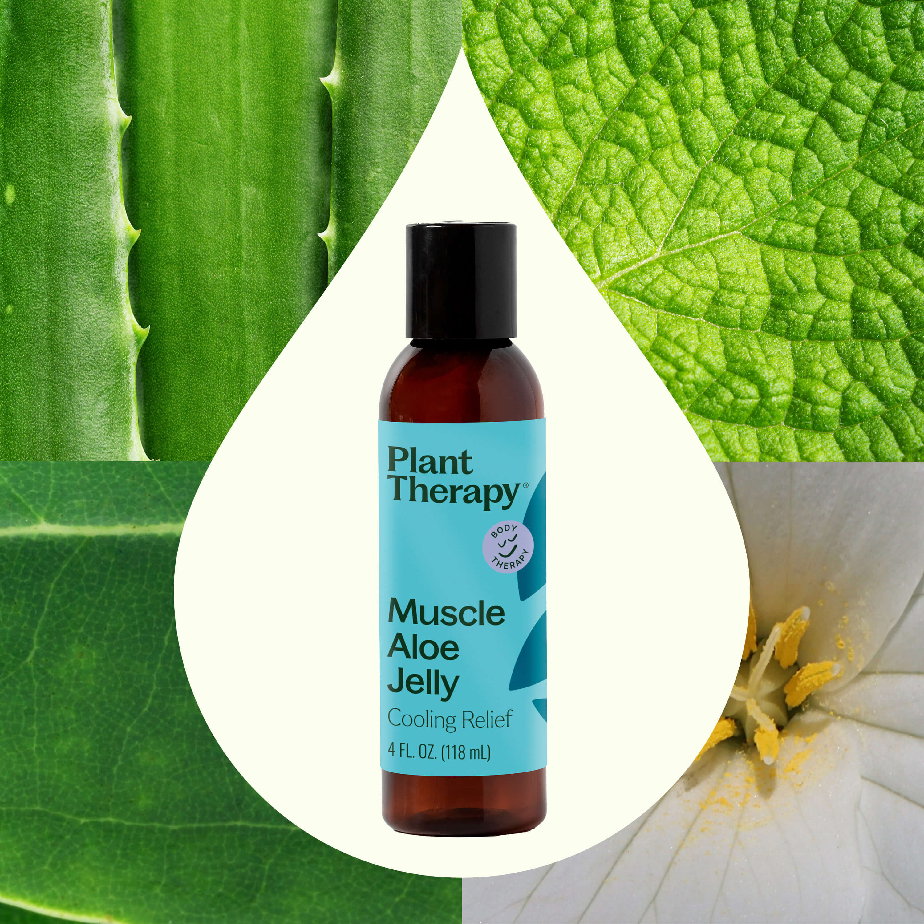 Muscle Aloe Jelly - Image 2