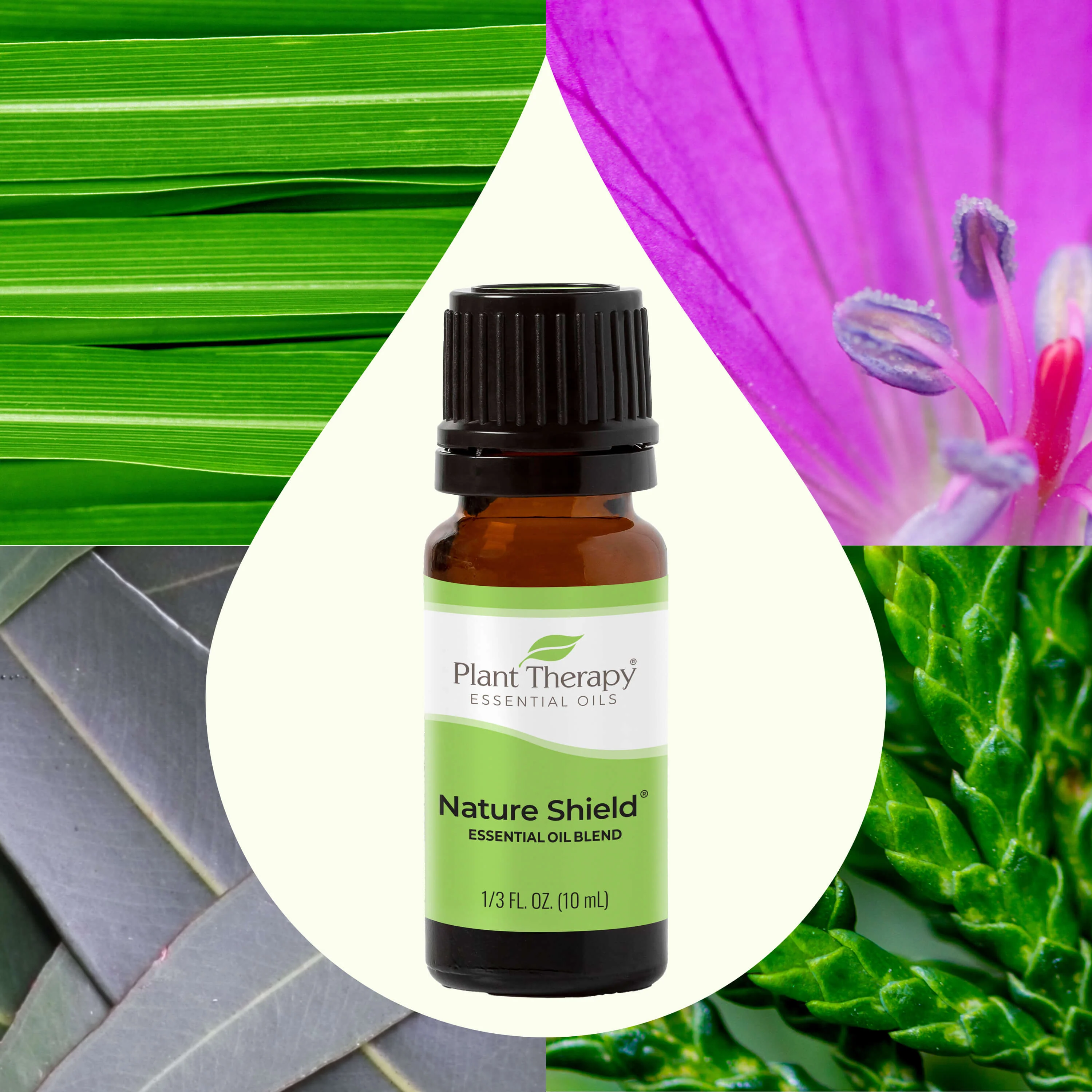 Nature Shield Essential Oil Blend - Image 2