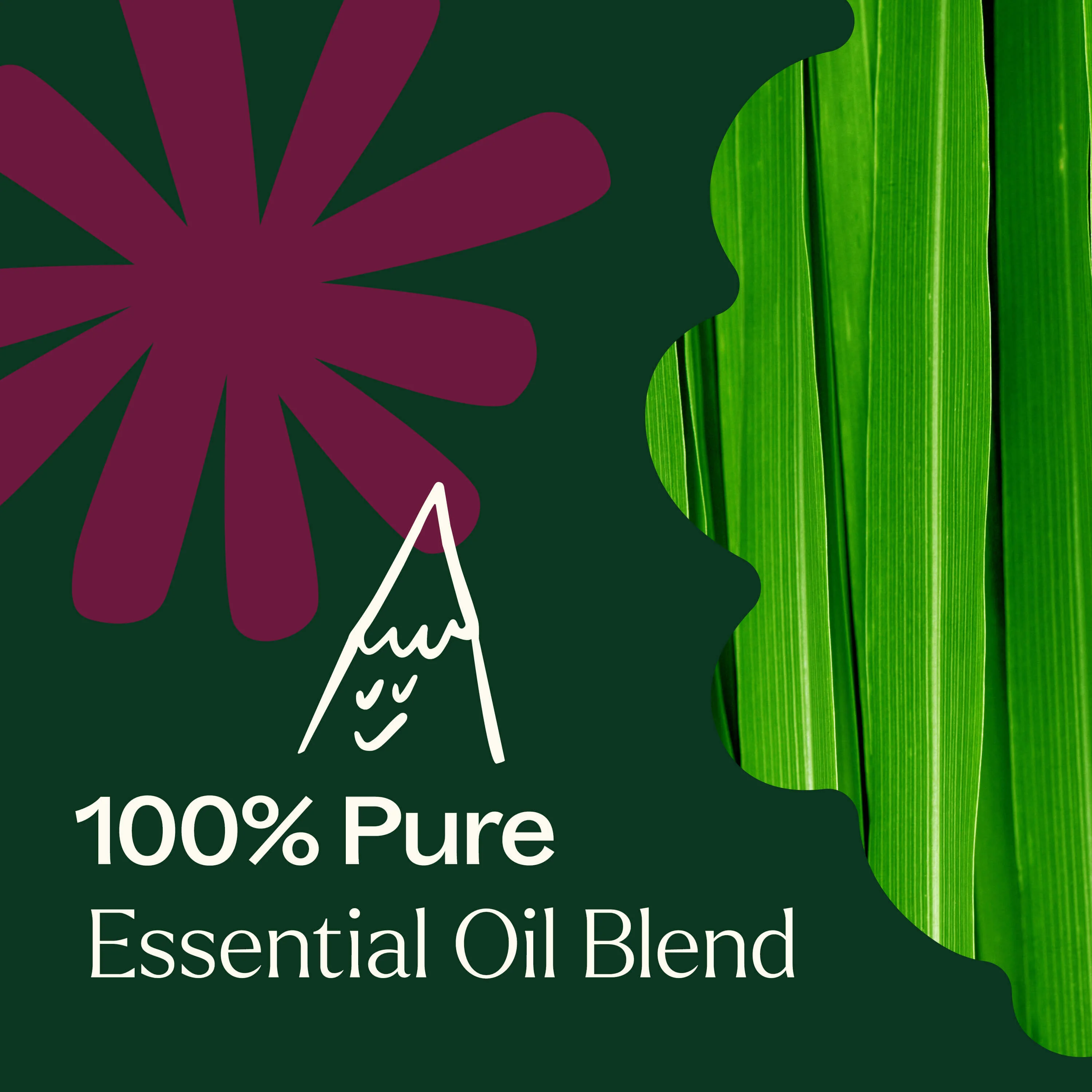 Nature Shield Essential Oil Blend - Image 3