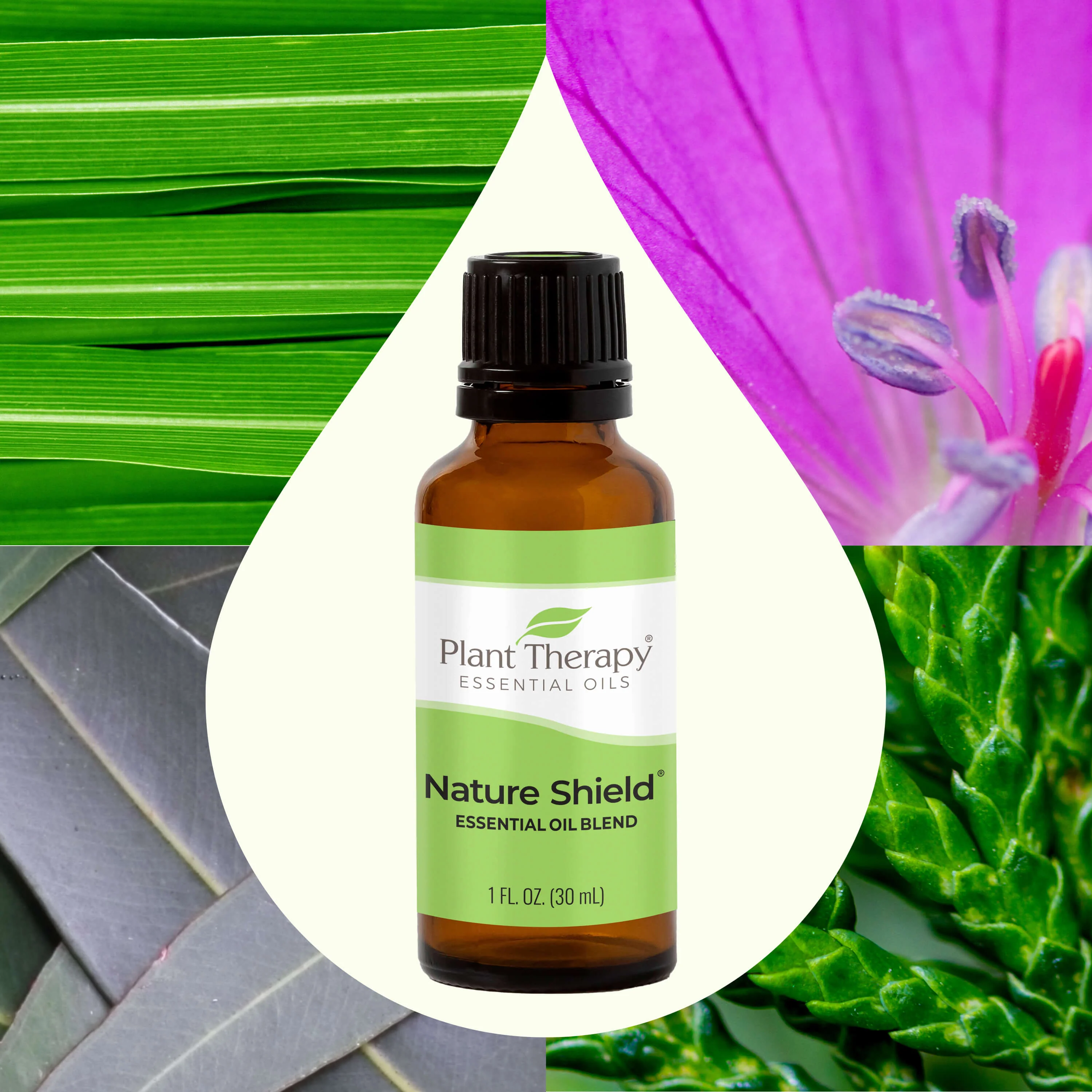 Nature Shield Essential Oil Blend - Image 6