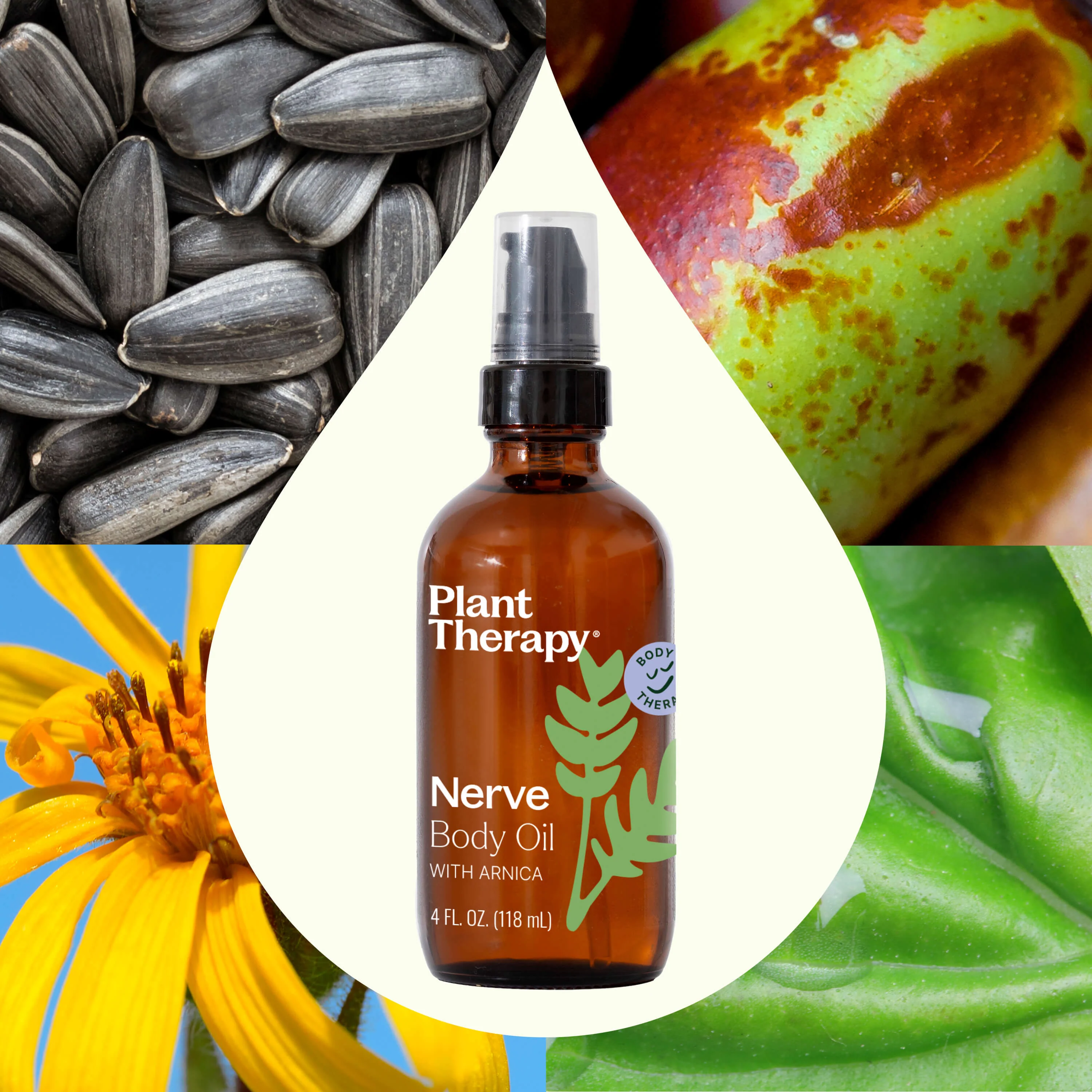 Nerve Body Oil with Arnica - Image 2