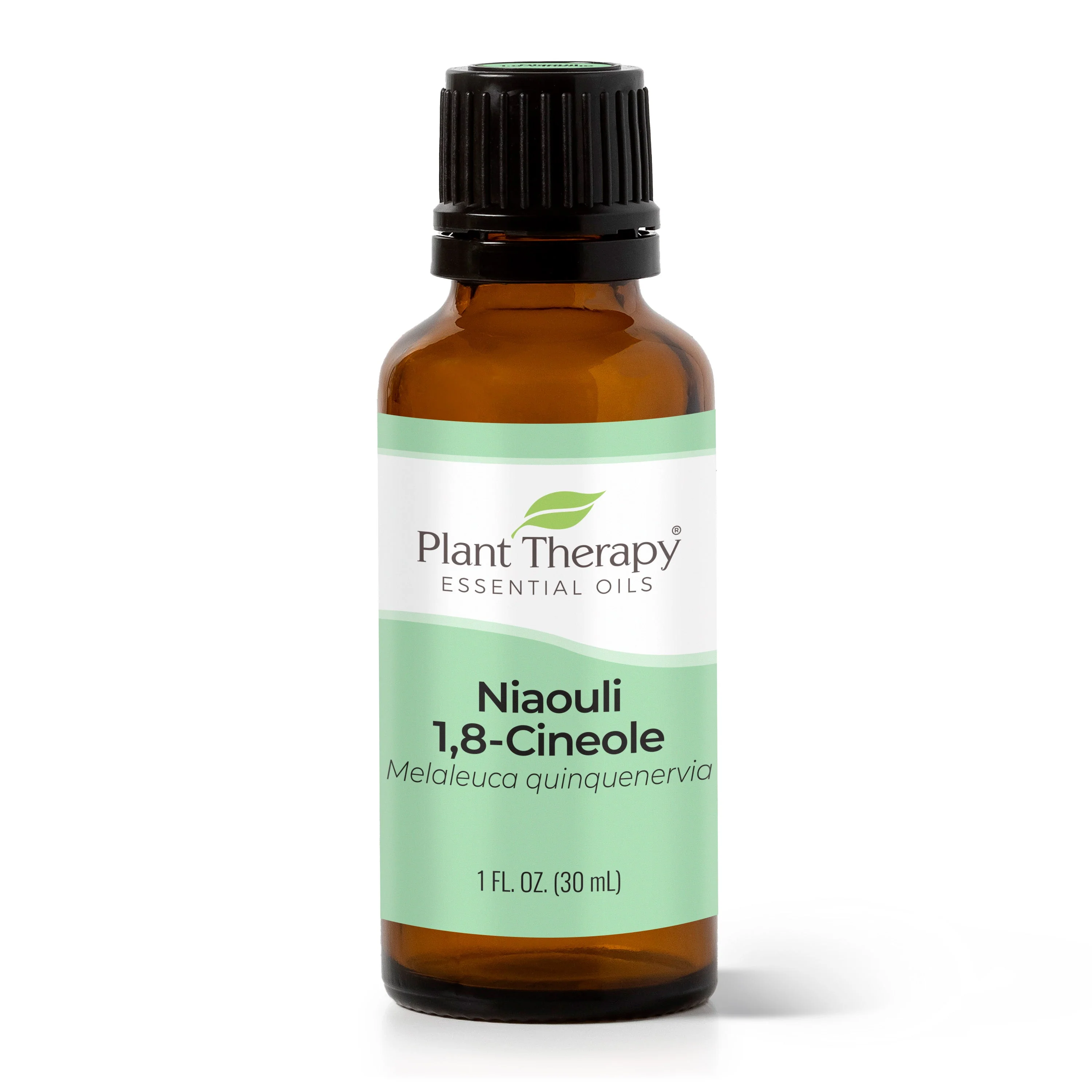 Niaouli 1,8-Cineole Essential Oil - Image 11
