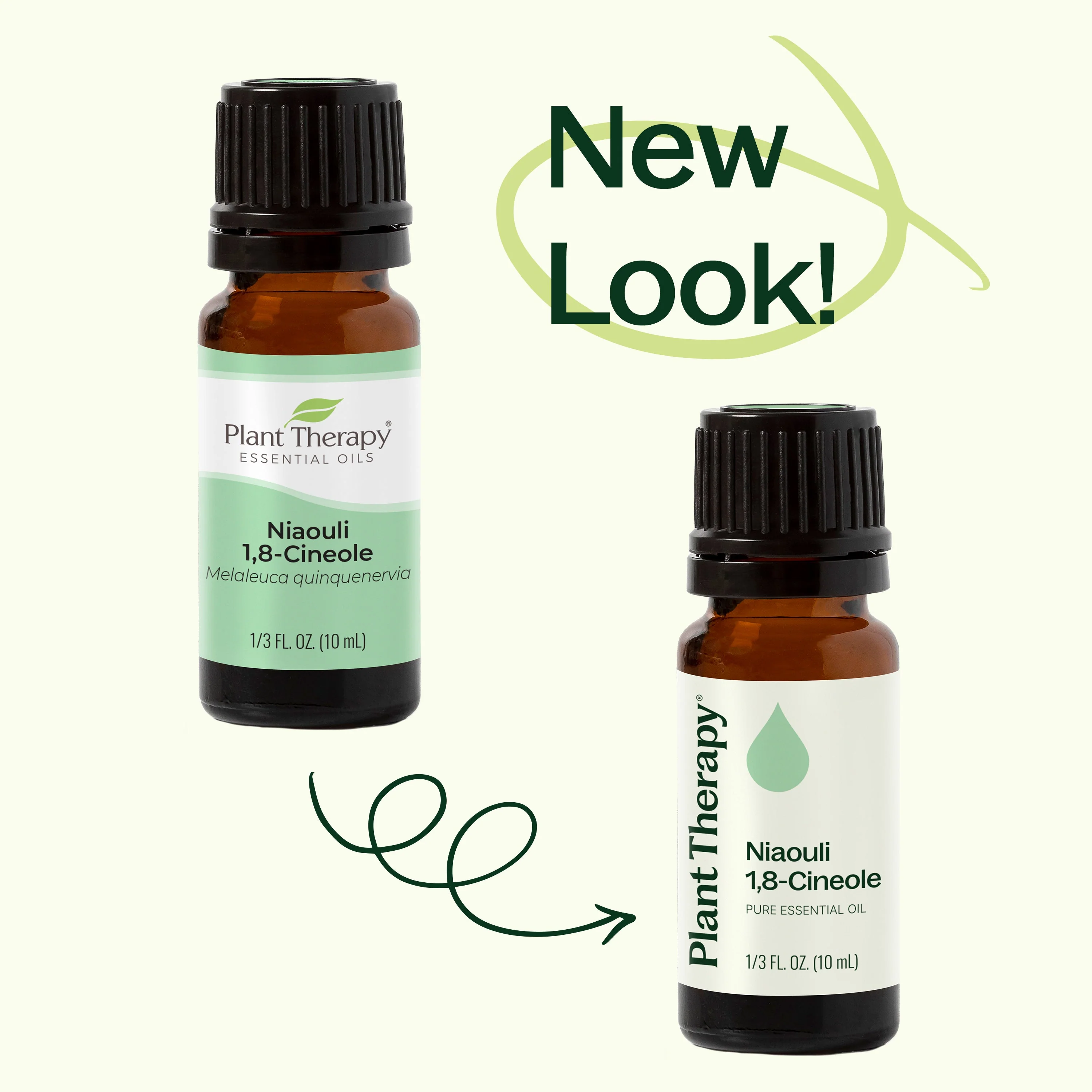 Niaouli 1,8-Cineole Essential Oil - Image 5