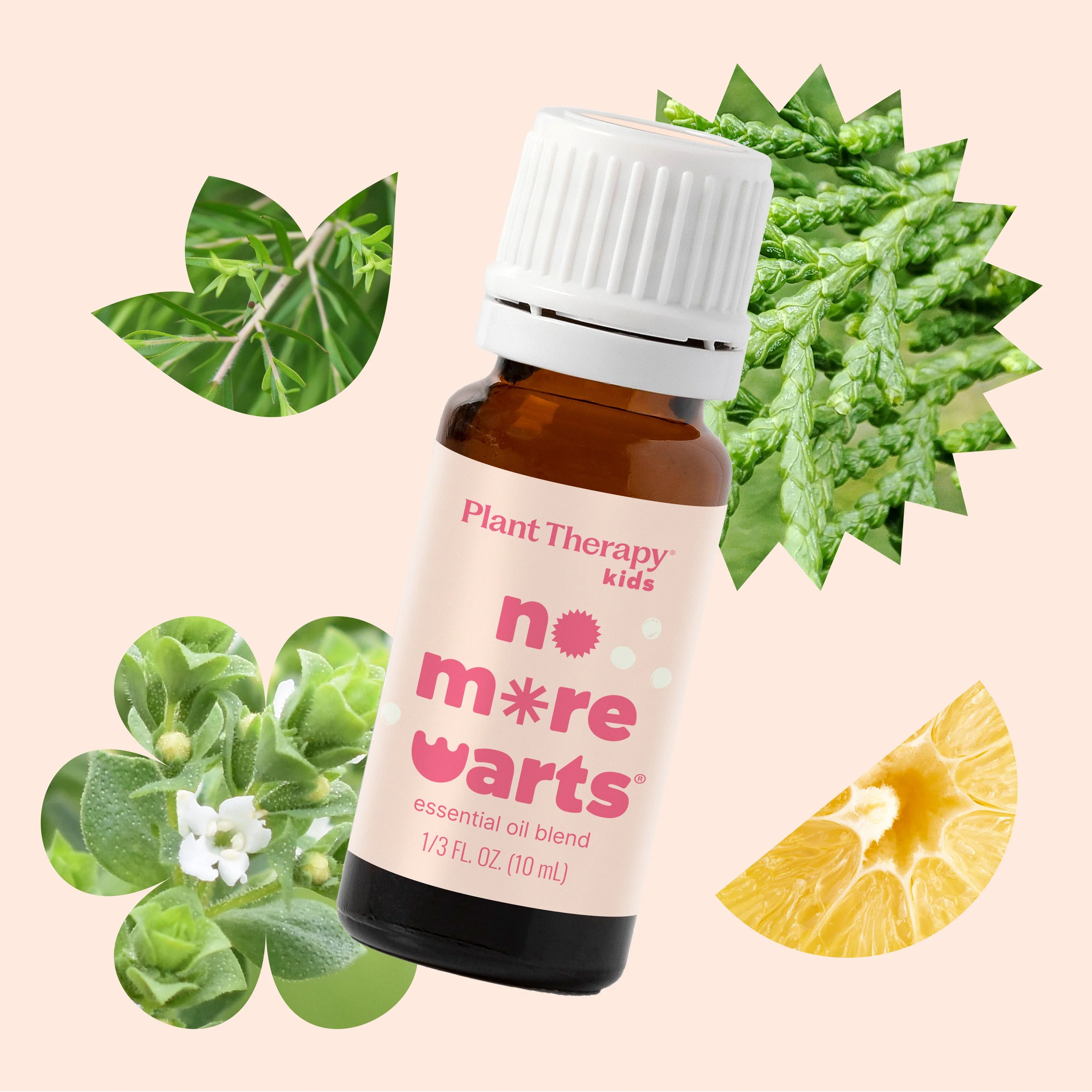 No More Warts Essential Oil - Image 4