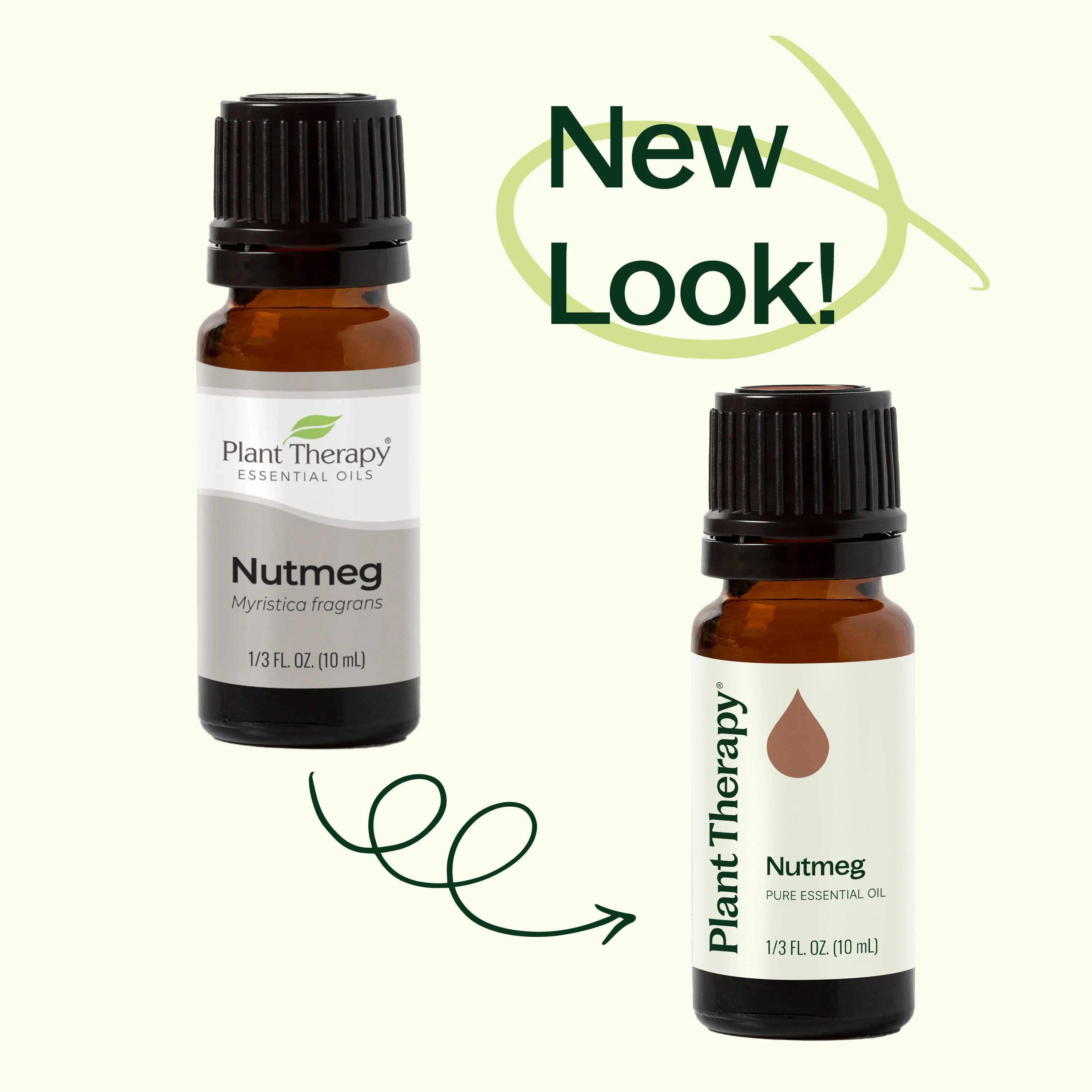 Nutmeg Essential Oil - Image 3