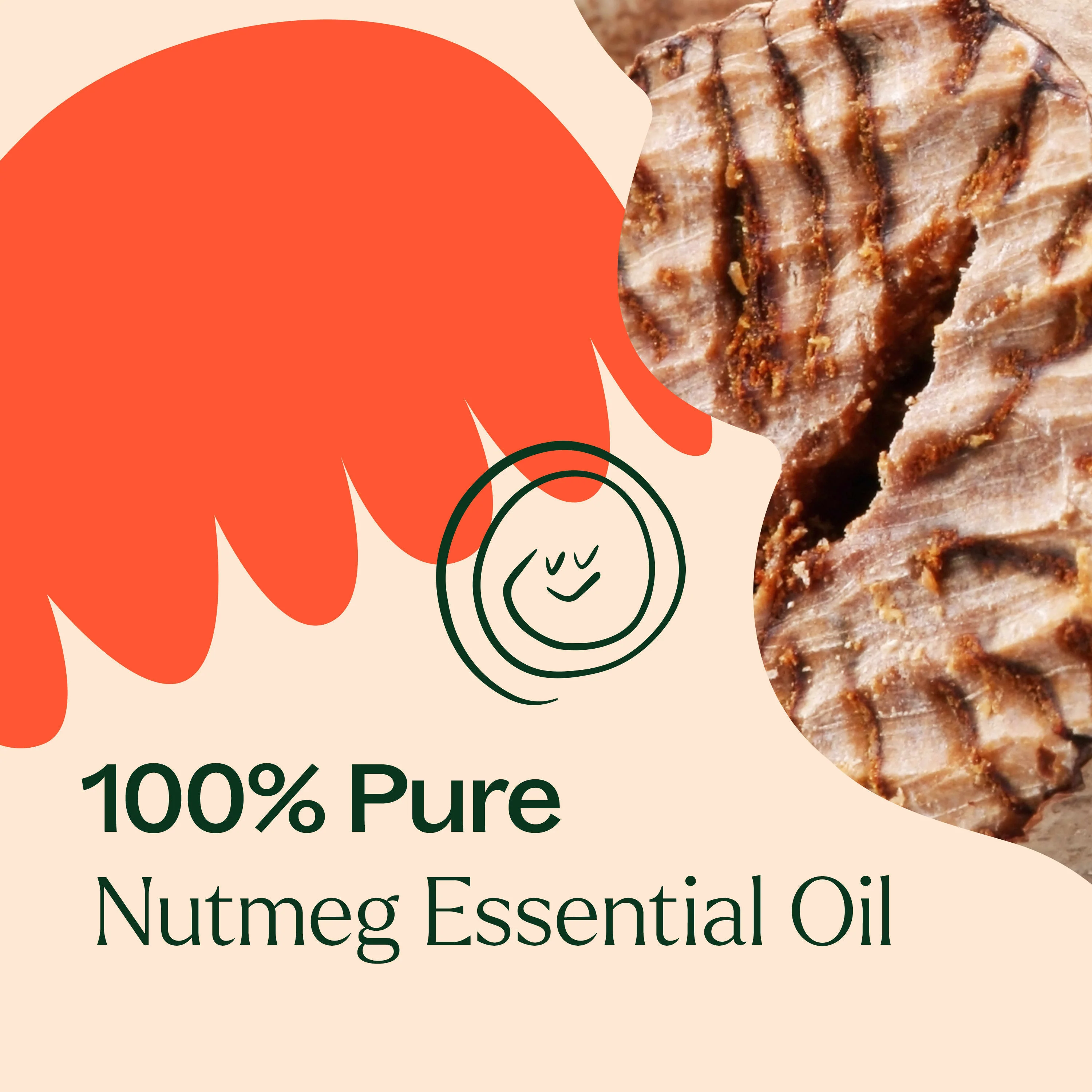 Nutmeg Essential Oil - Image 5