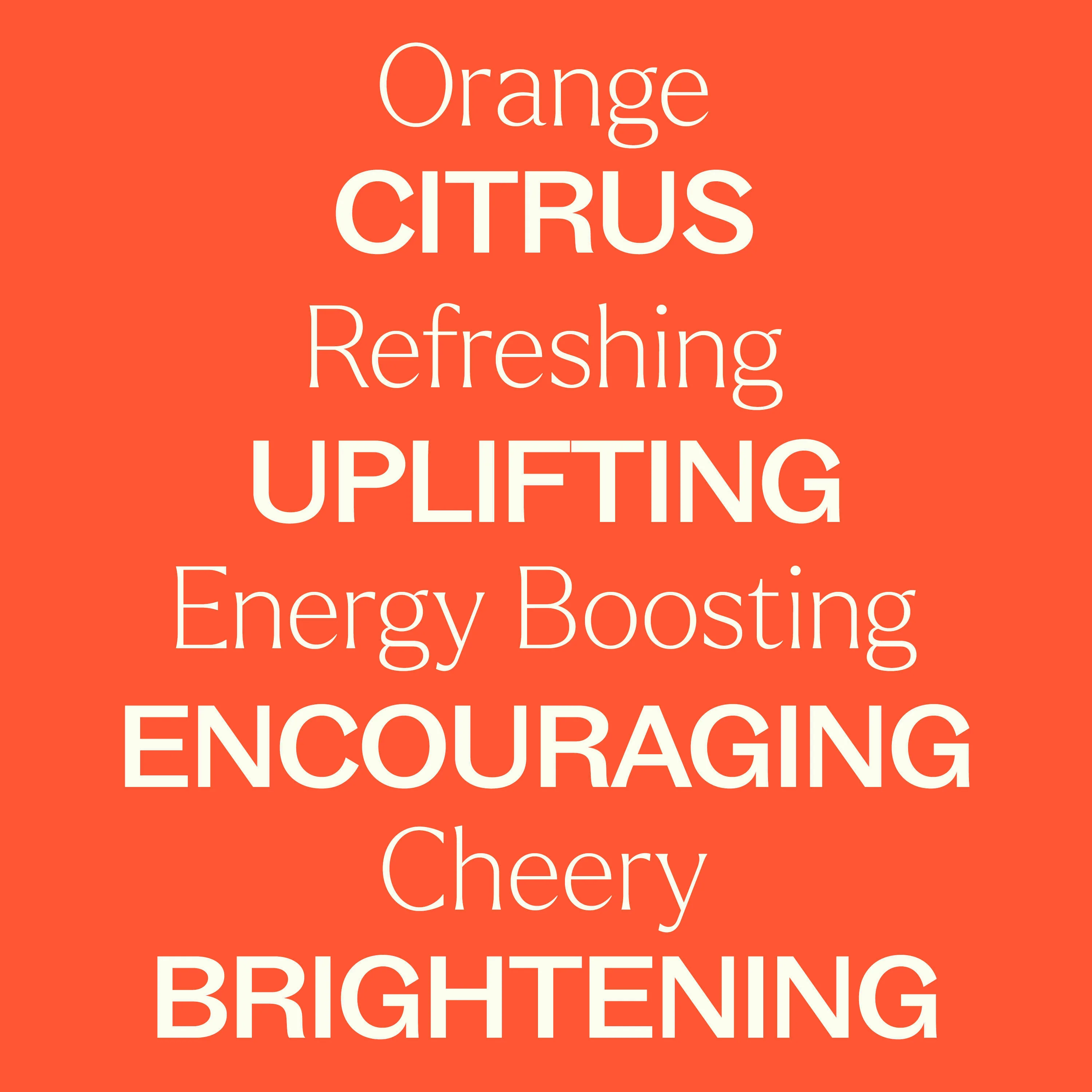 Orange Essence Oil - Image 5