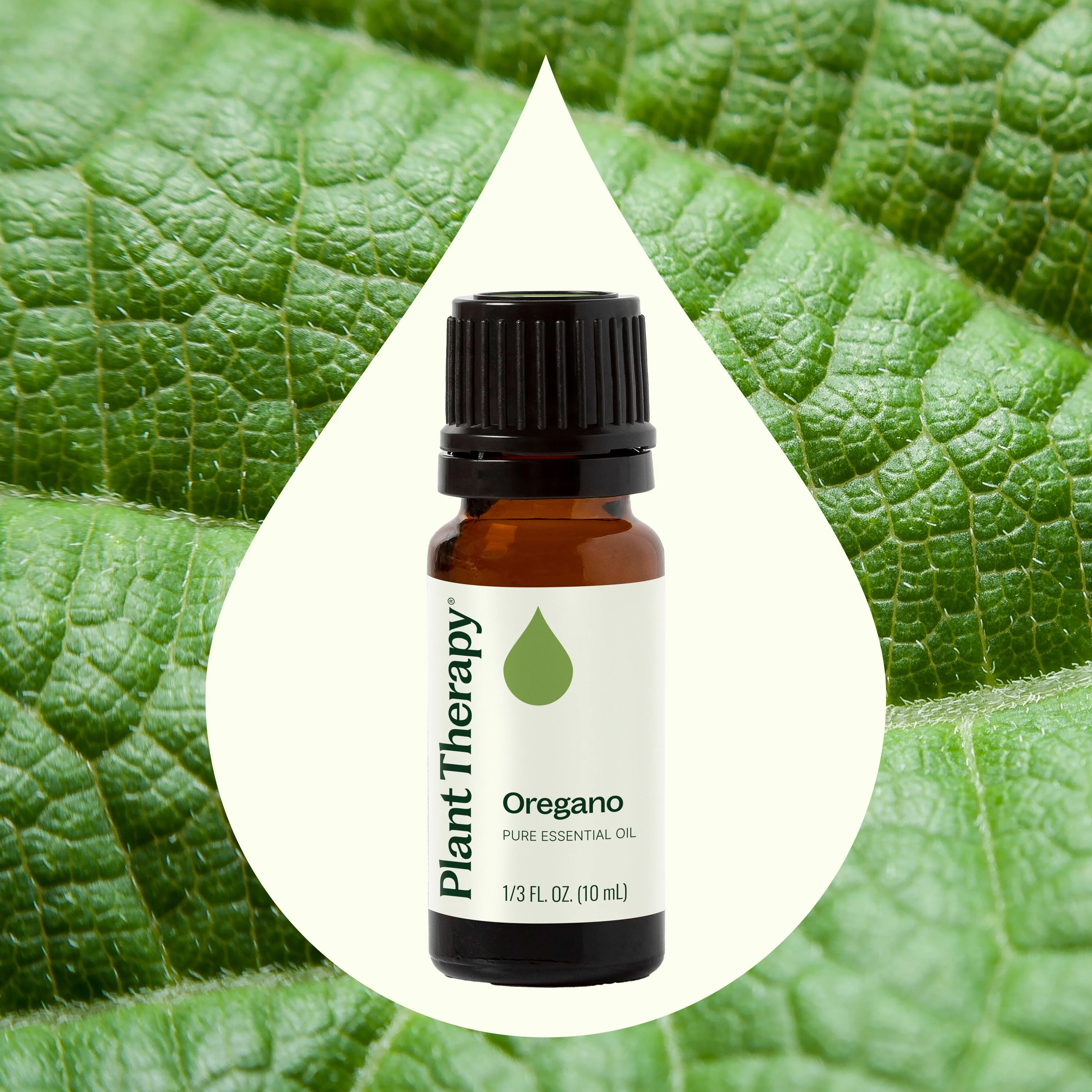 Oregano Essential Oil - Image 2