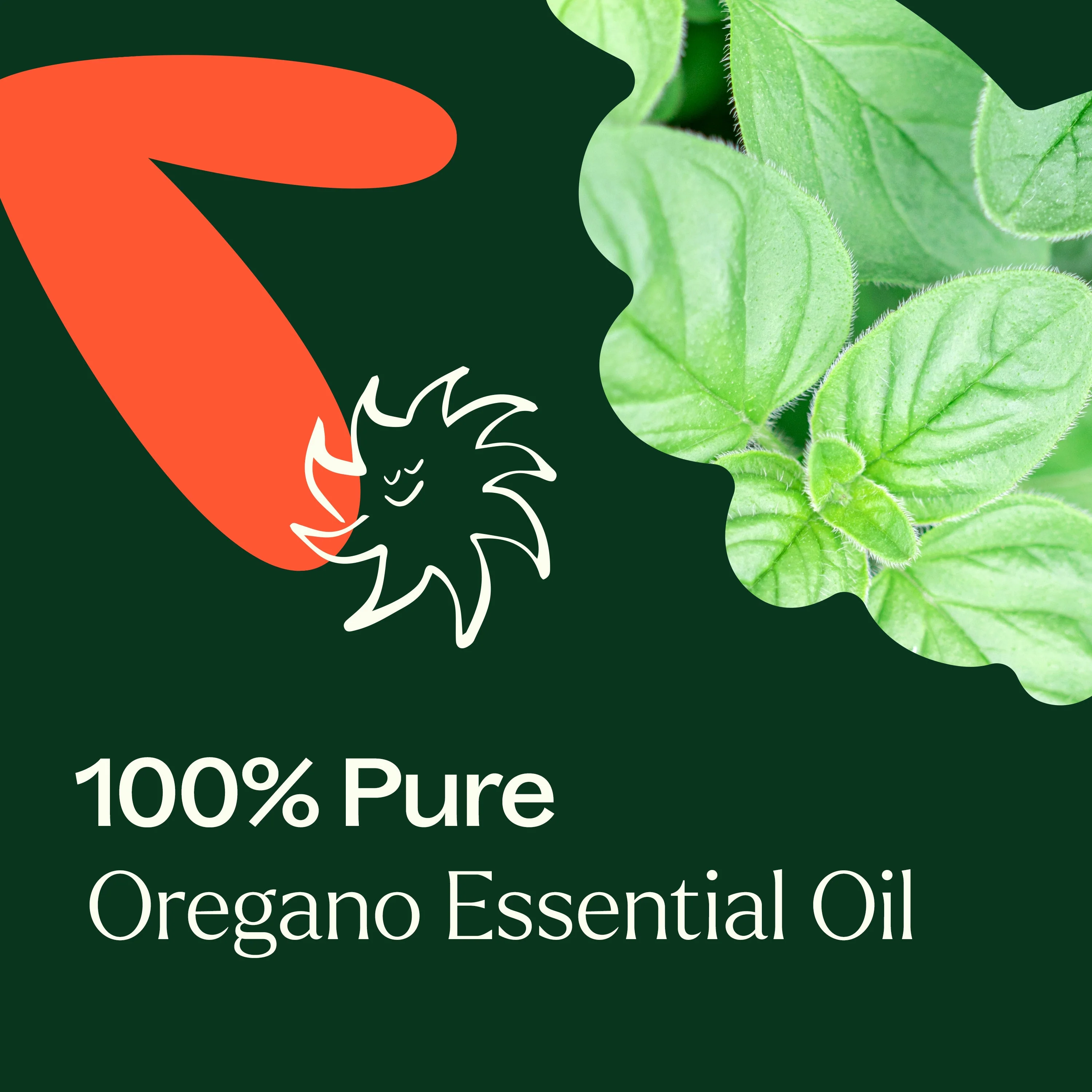 Oregano Essential Oil - Image 4