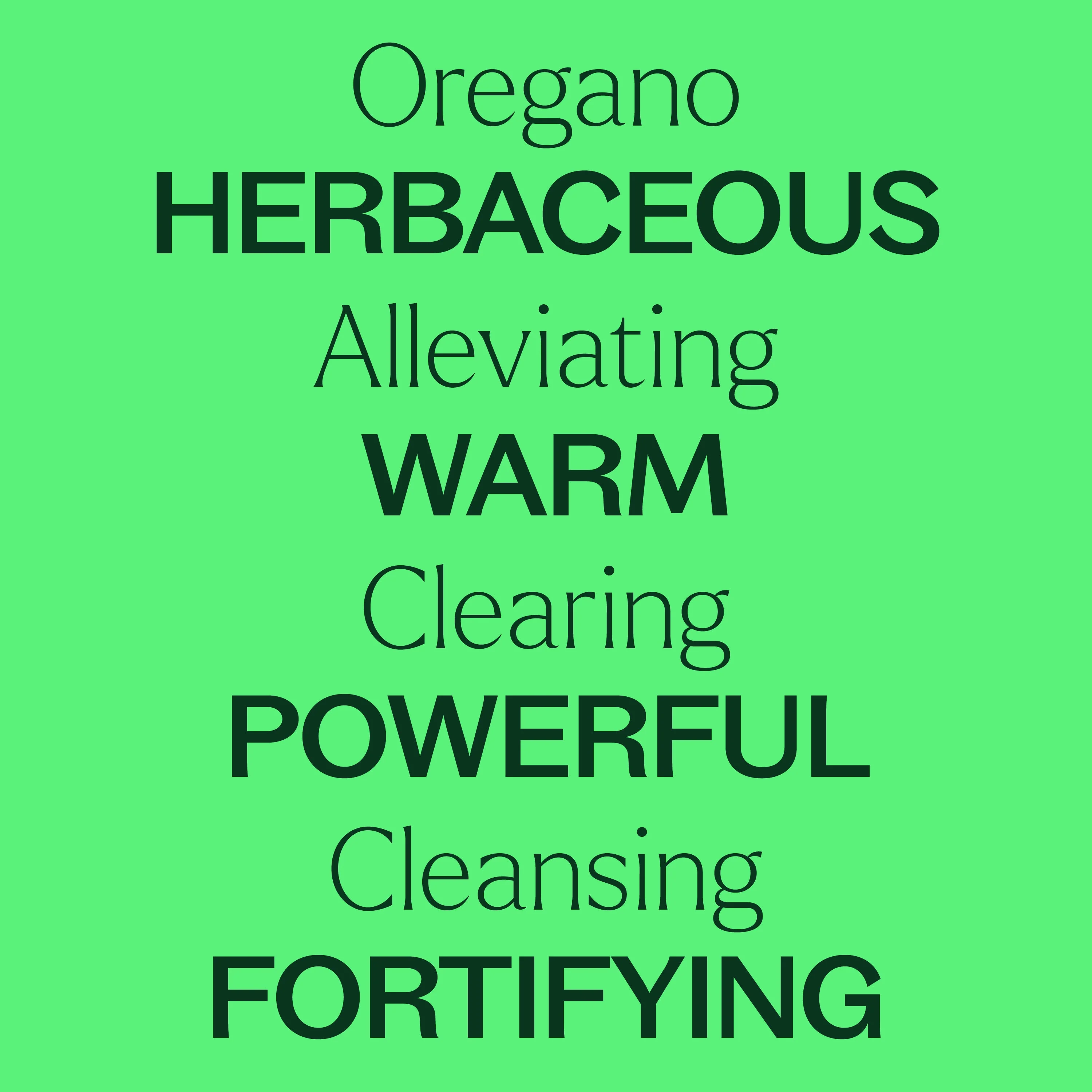 Oregano Essential Oil - Image 5