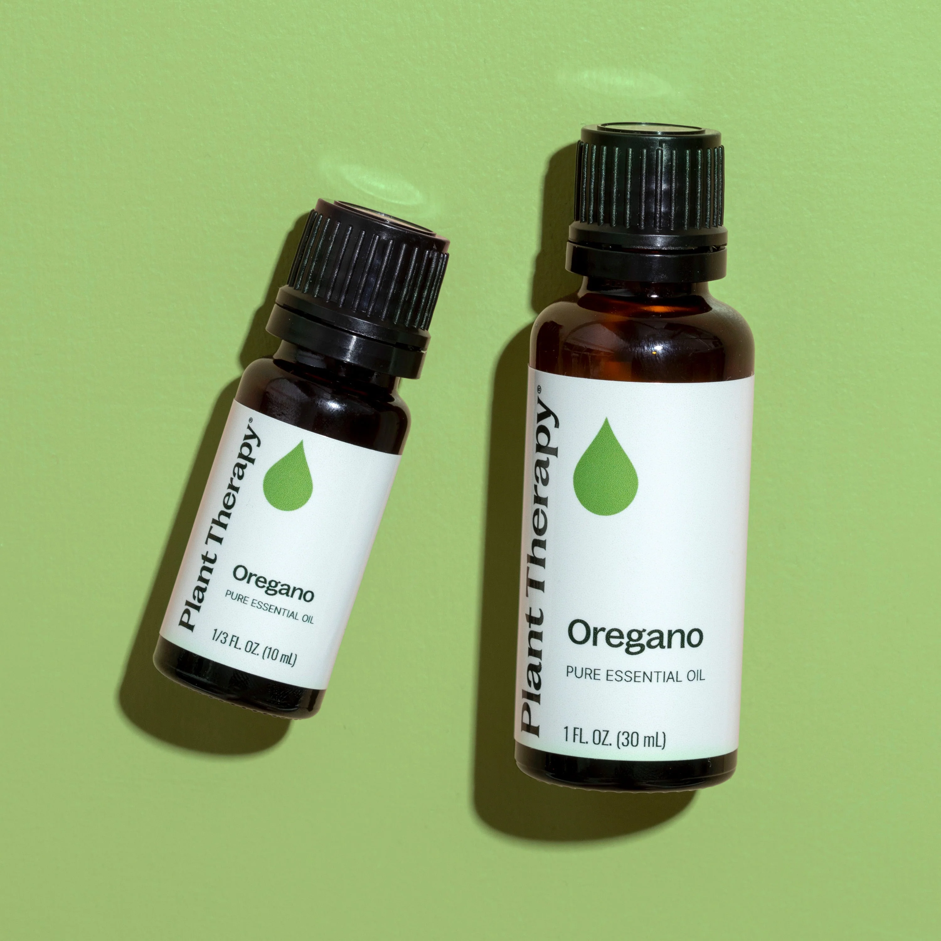 Oregano Essential Oil - Image 7