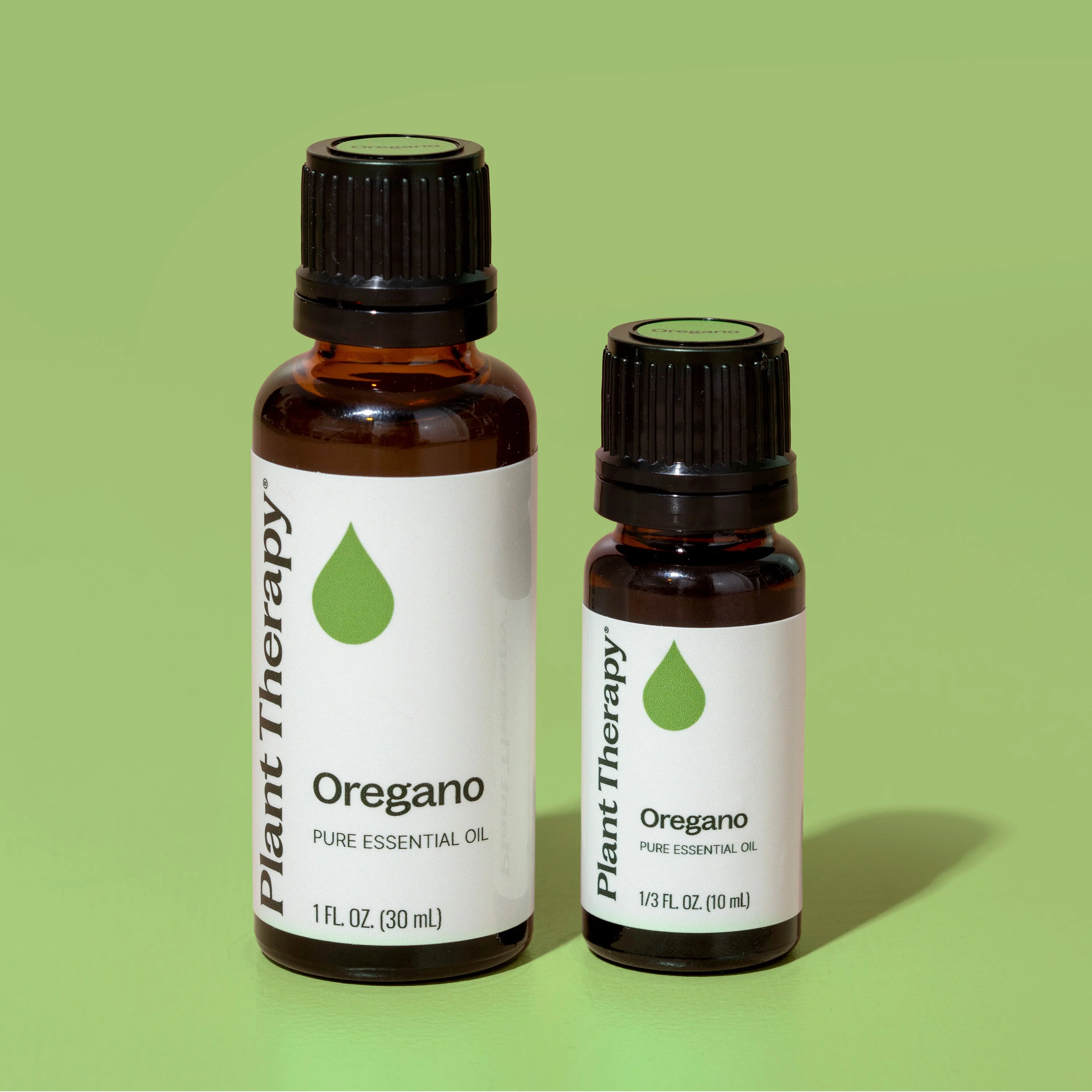 Oregano Essential Oil - Image 8