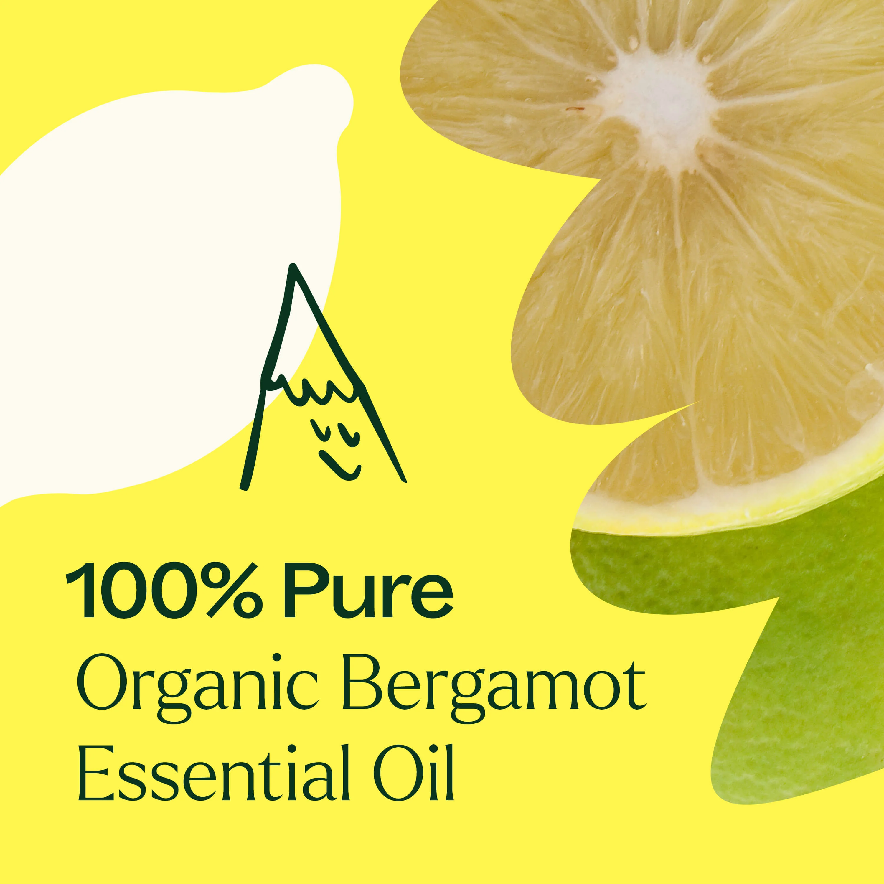 Organic Bergamot Essential Oil - Image 7