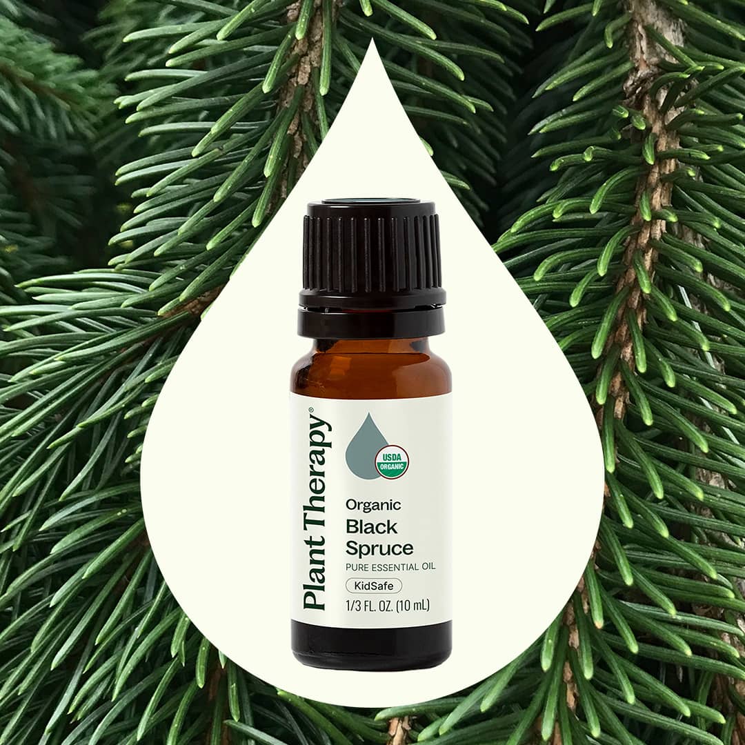Organic Black Spruce Essential Oil - Image 2
