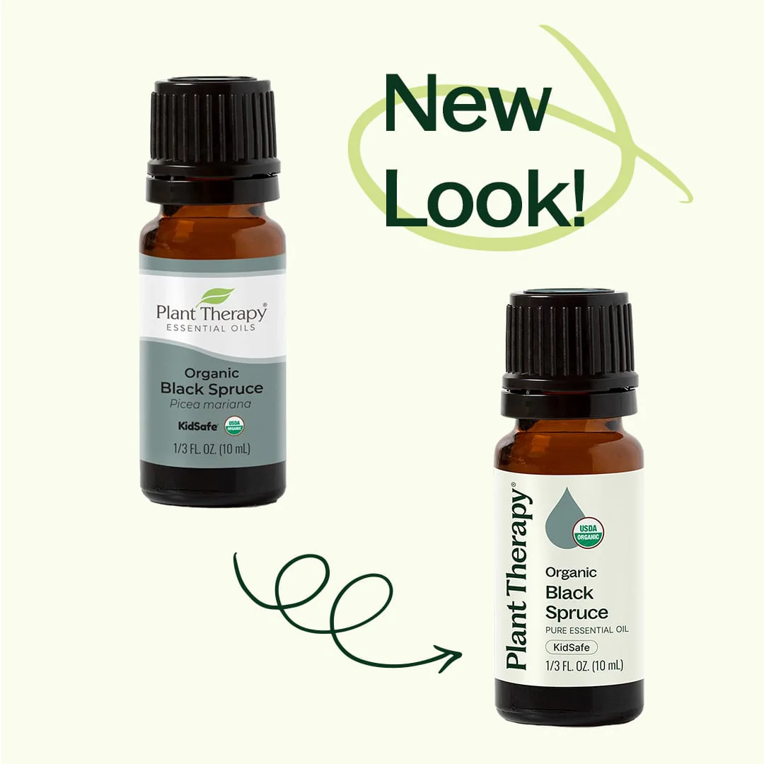 Organic Black Spruce Essential Oil - Image 3