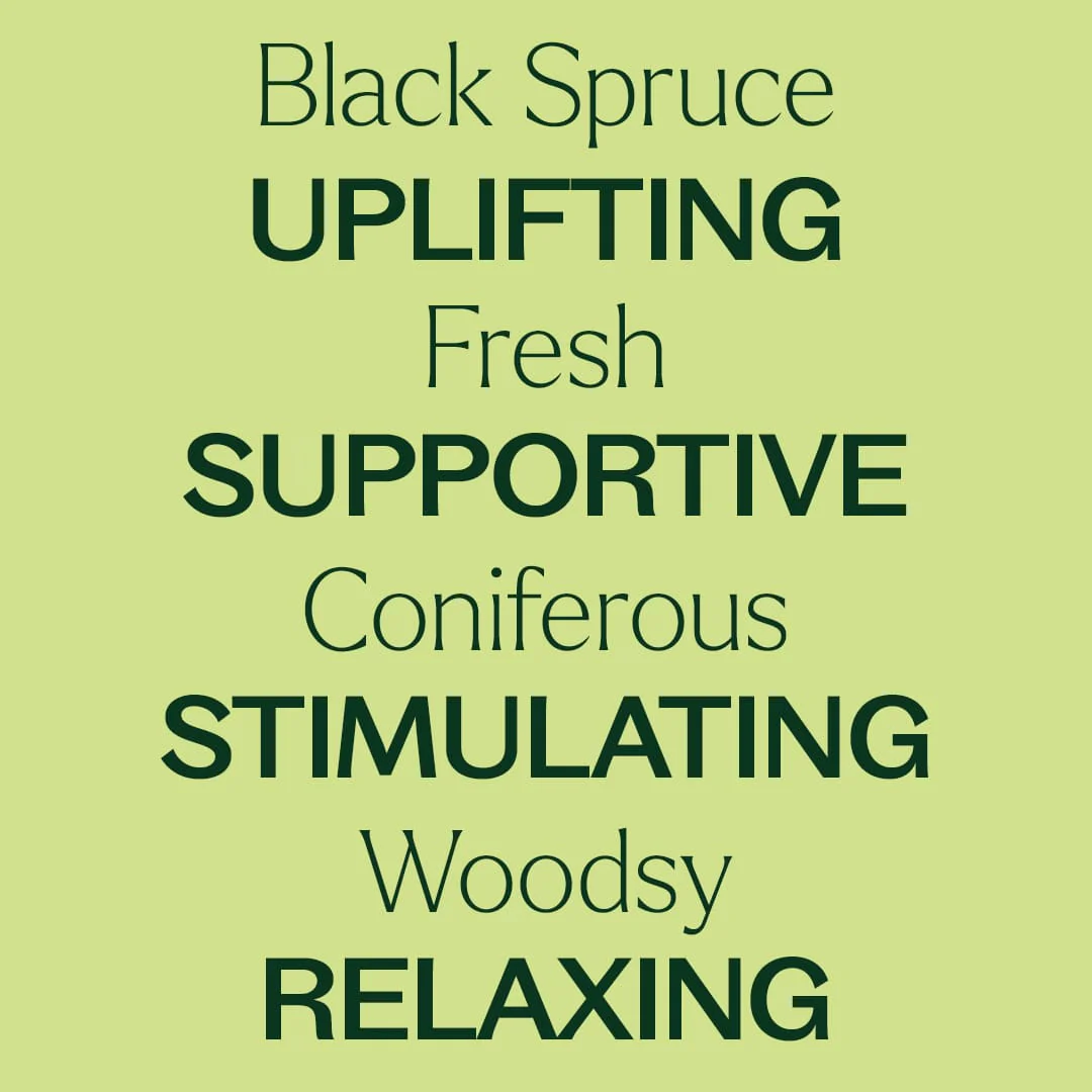 Organic Black Spruce Essential Oil - Image 6