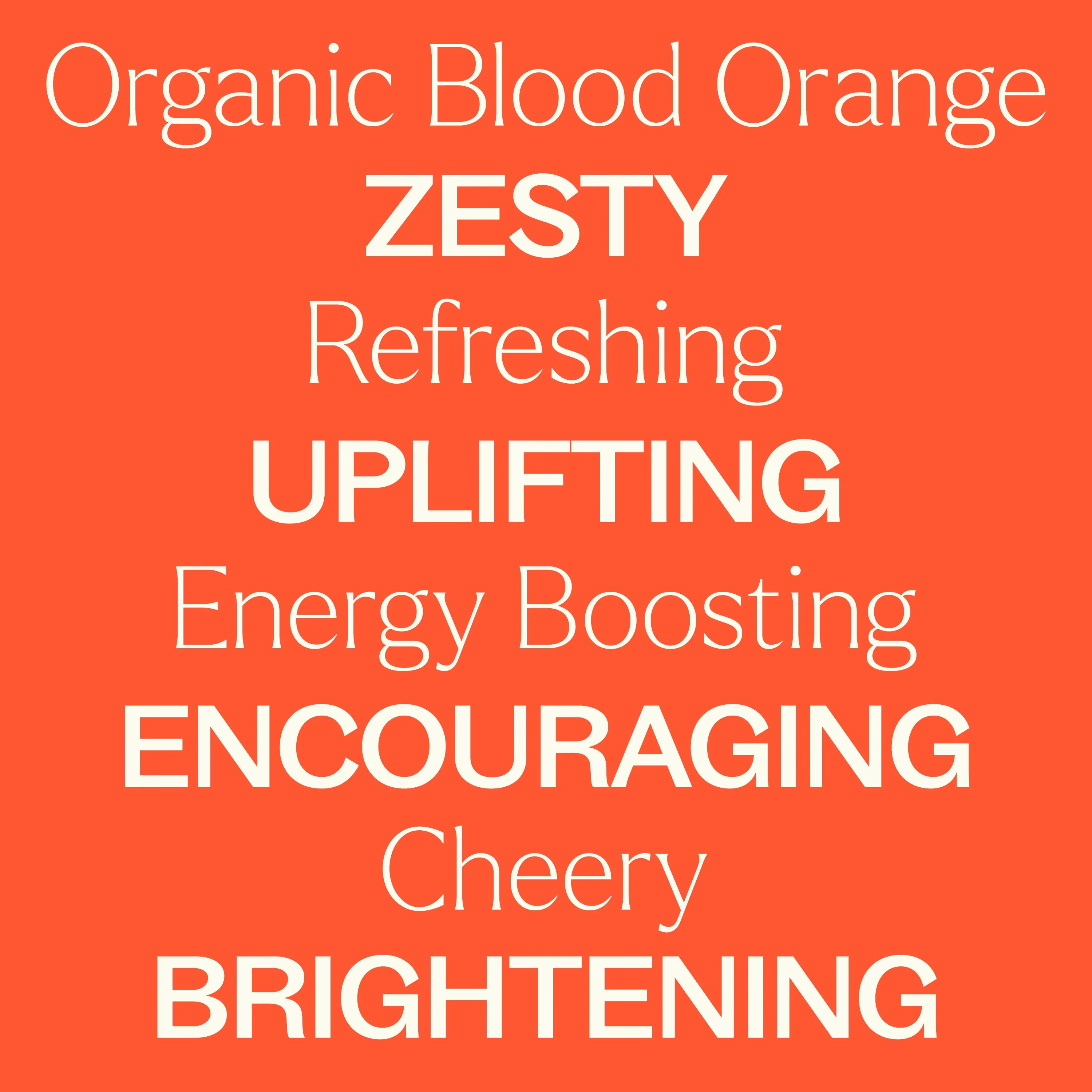 Organic Blood Orange Essential Oil - Image 5