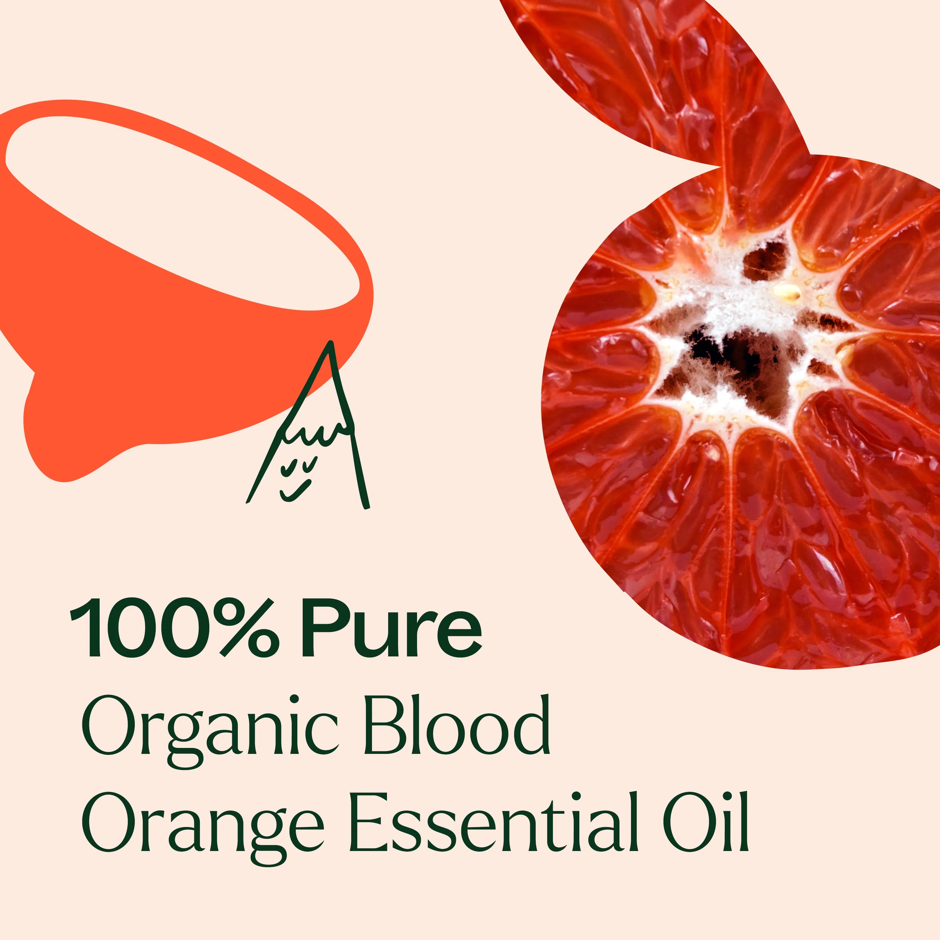 Organic Blood Orange Essential Oil - Image 7