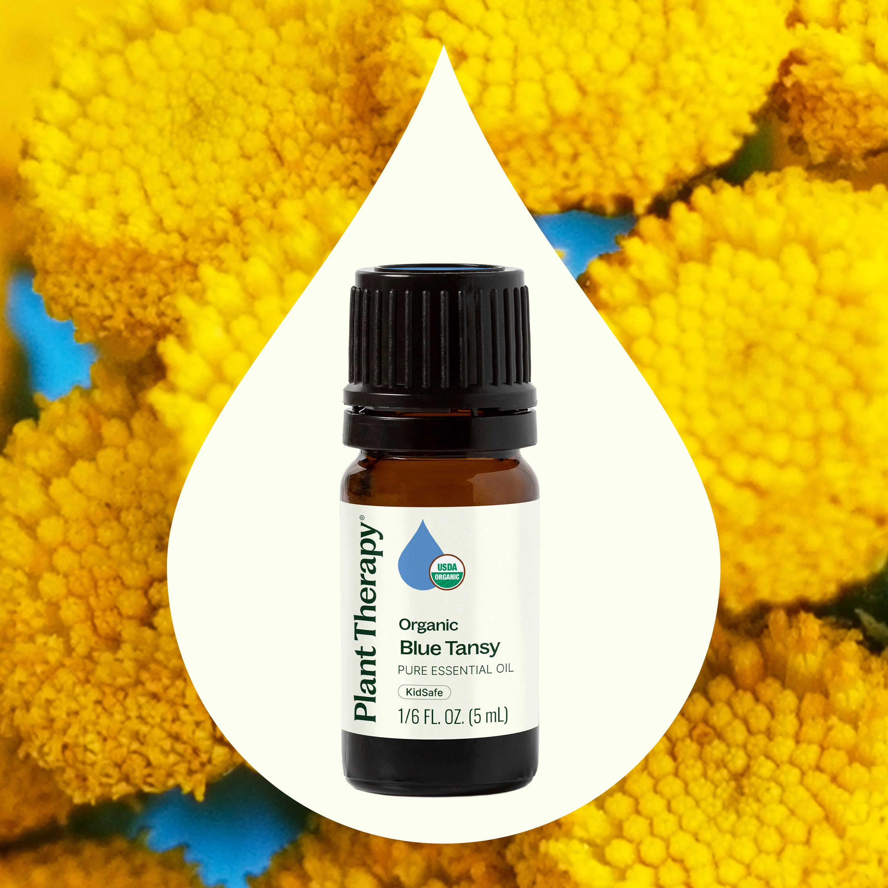 Organic Blue Tansy Essential Oil - Image 2