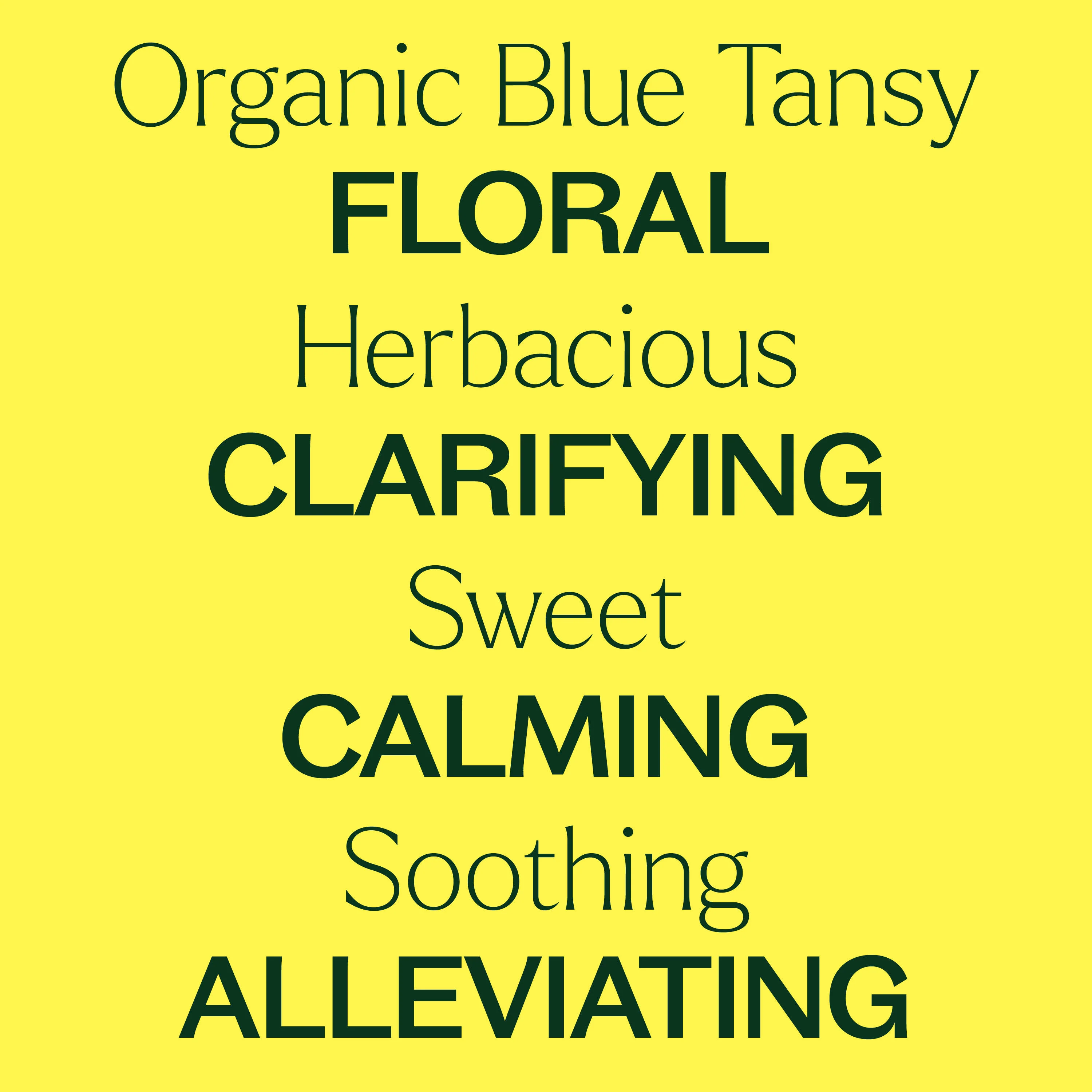 Organic Blue Tansy Essential Oil - Image 6