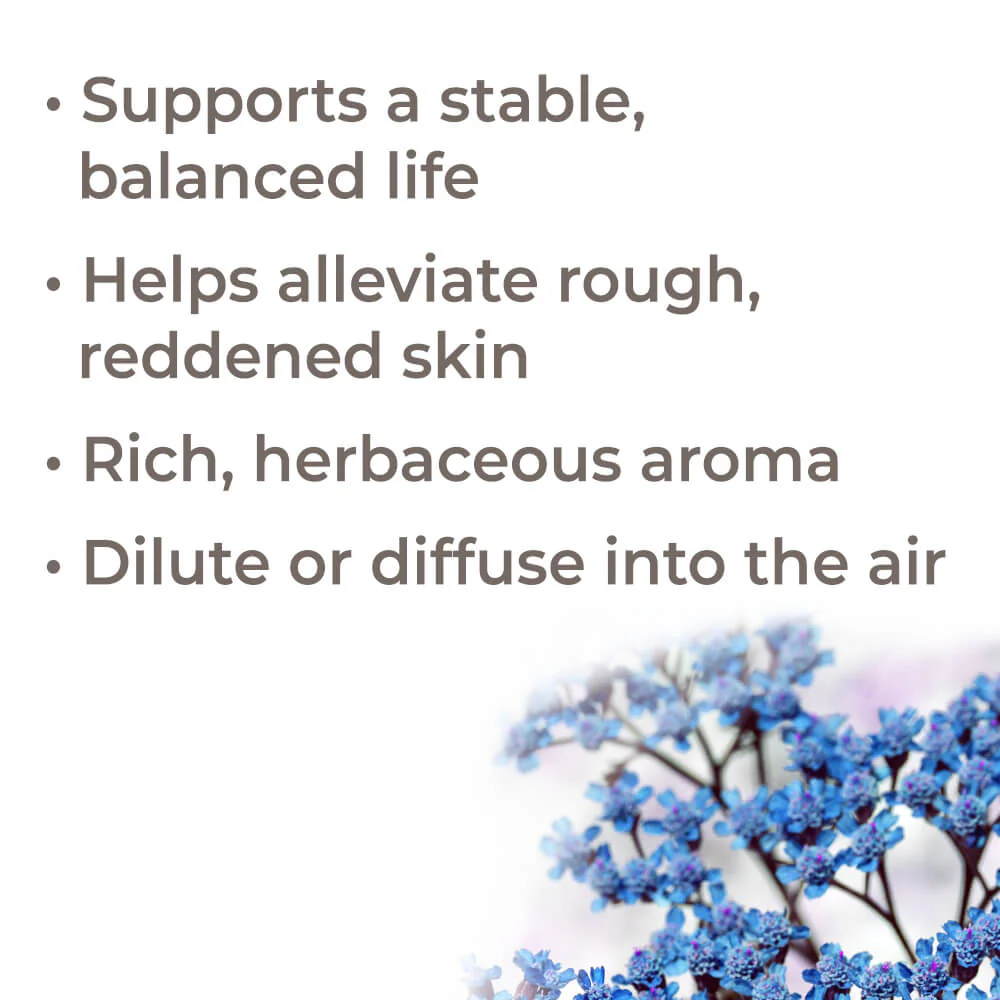 Organic Blue Yarrow Essential Oil - Image 2