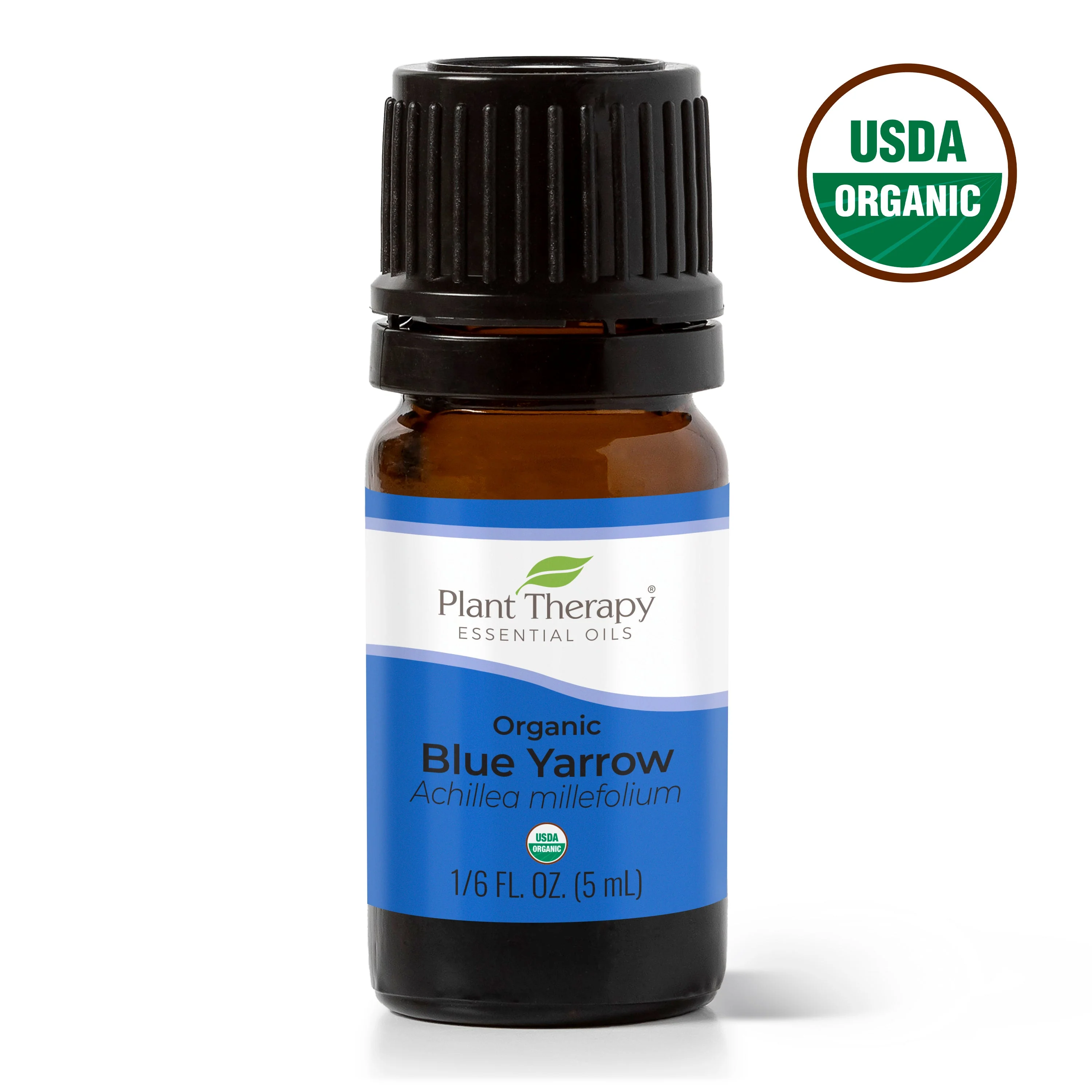 Organic Blue Yarrow Essential Oil - Image 3