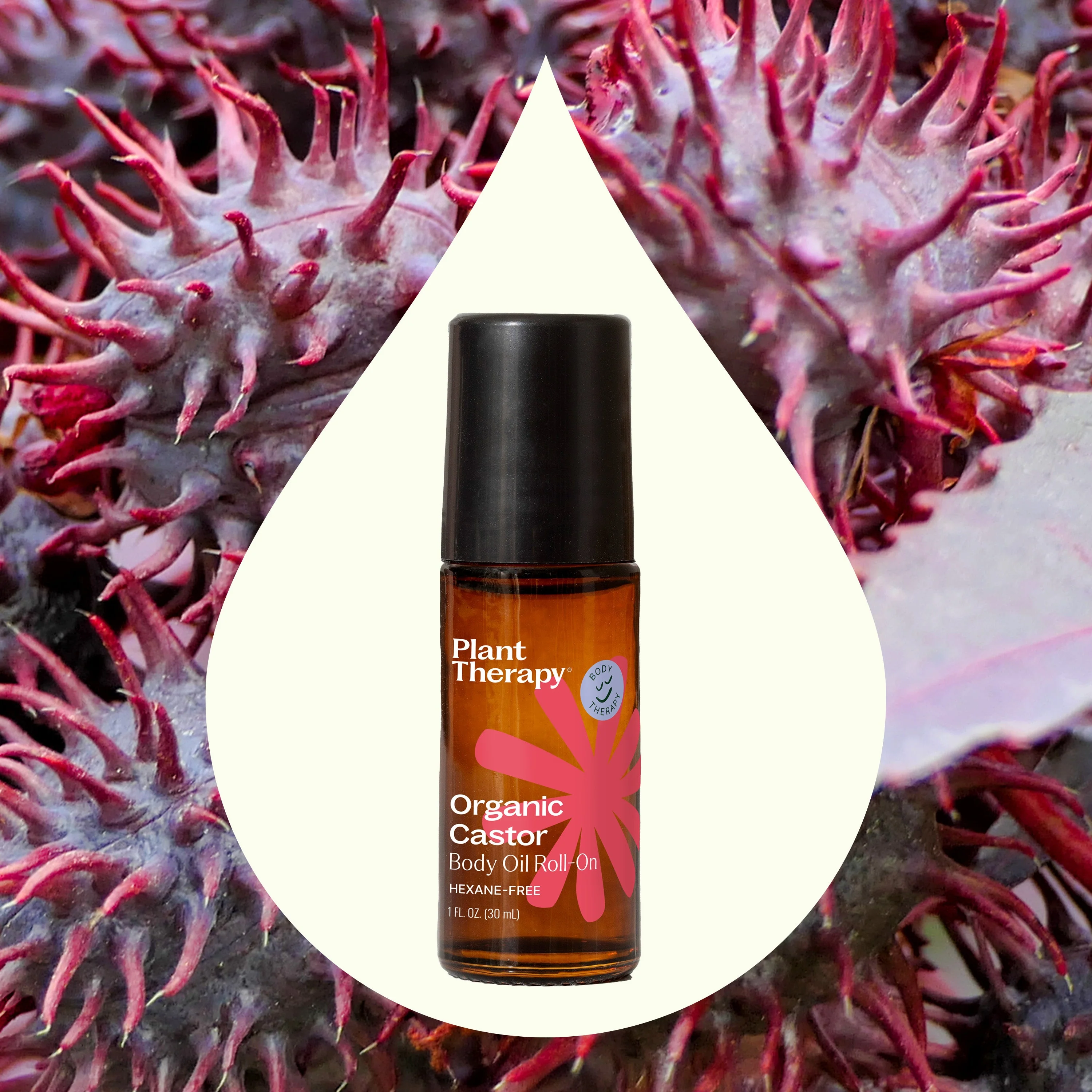Organic Castor Body Oil Roll-On - Image 3