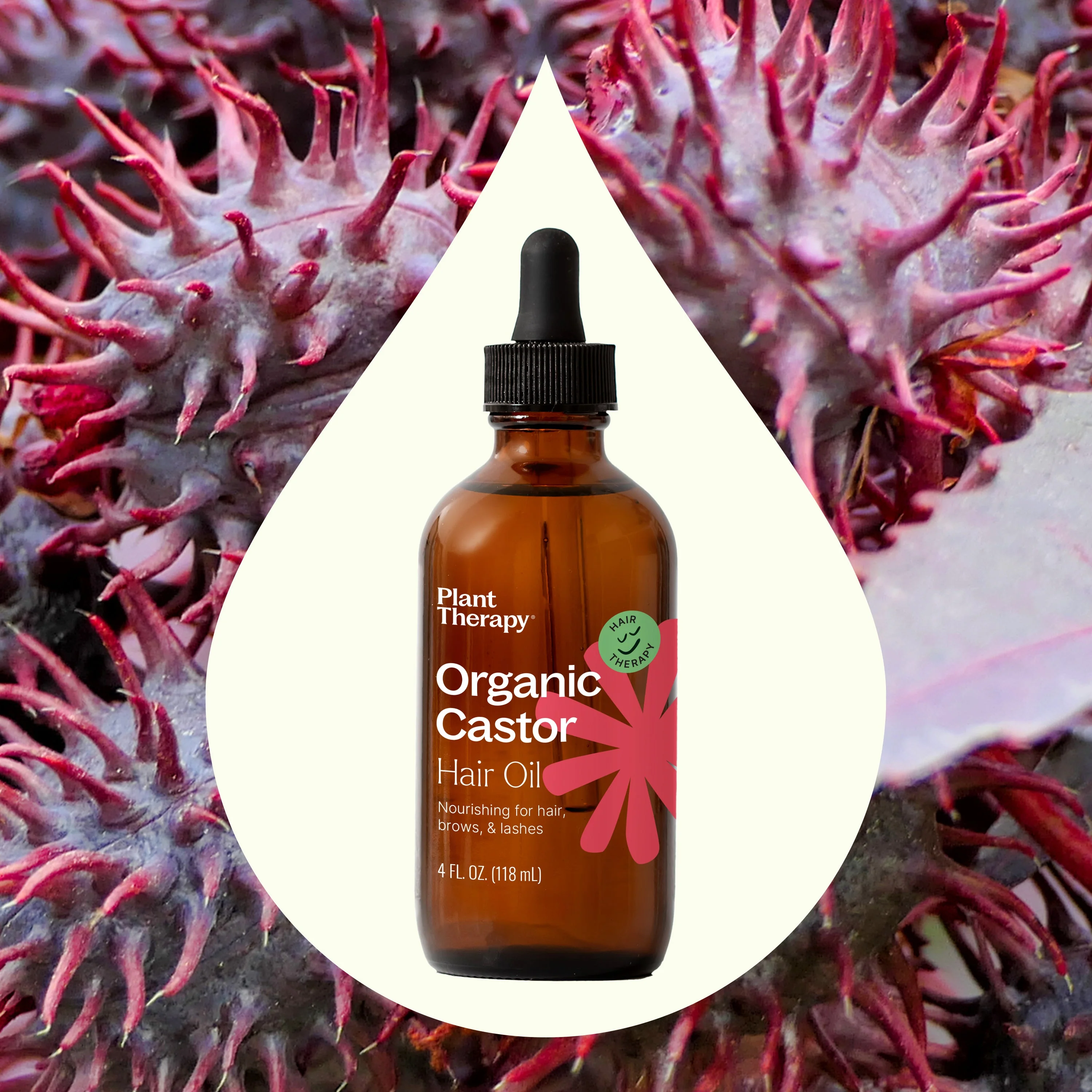 Organic Castor Oil - Image 2