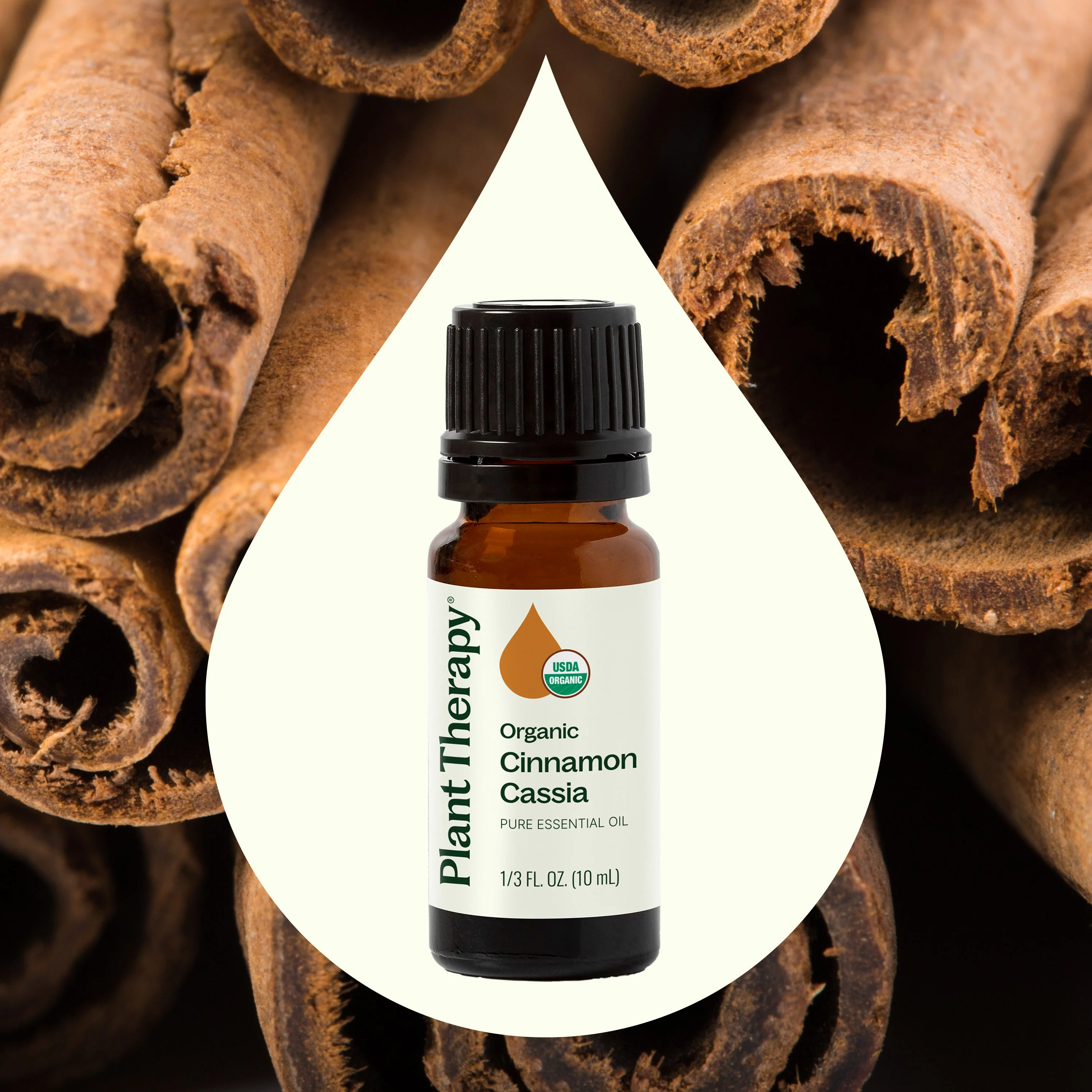 Organic Cinnamon Cassia Essential Oil - Image 2