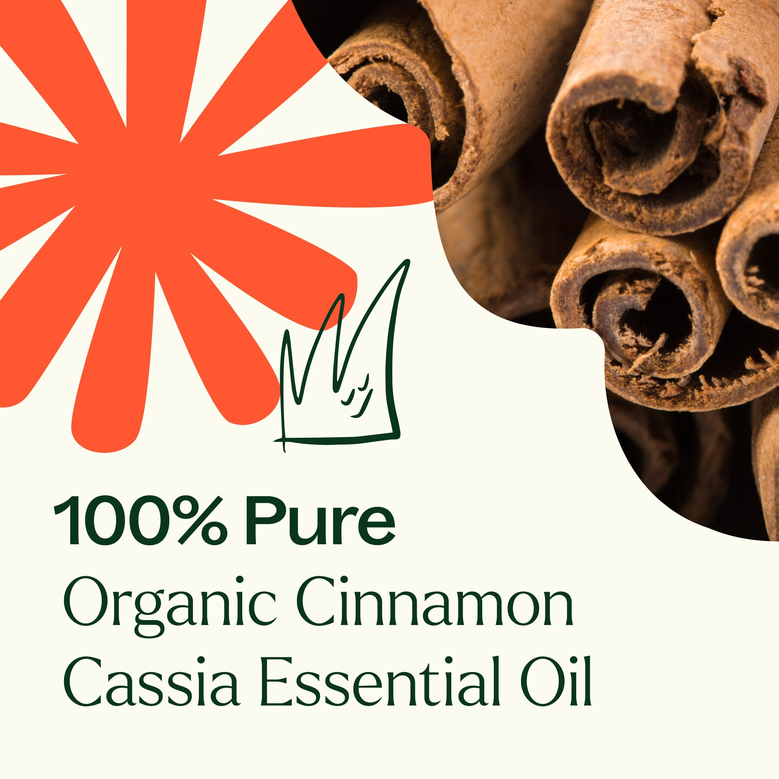 Organic Cinnamon Cassia Essential Oil - Image 6