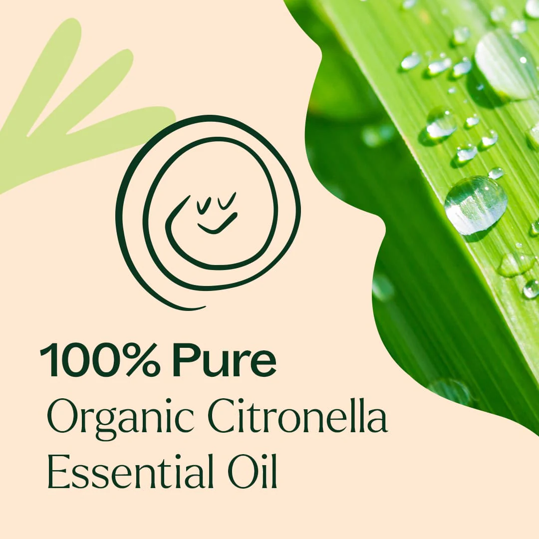 Organic Citronella Essential Oil - Image 4