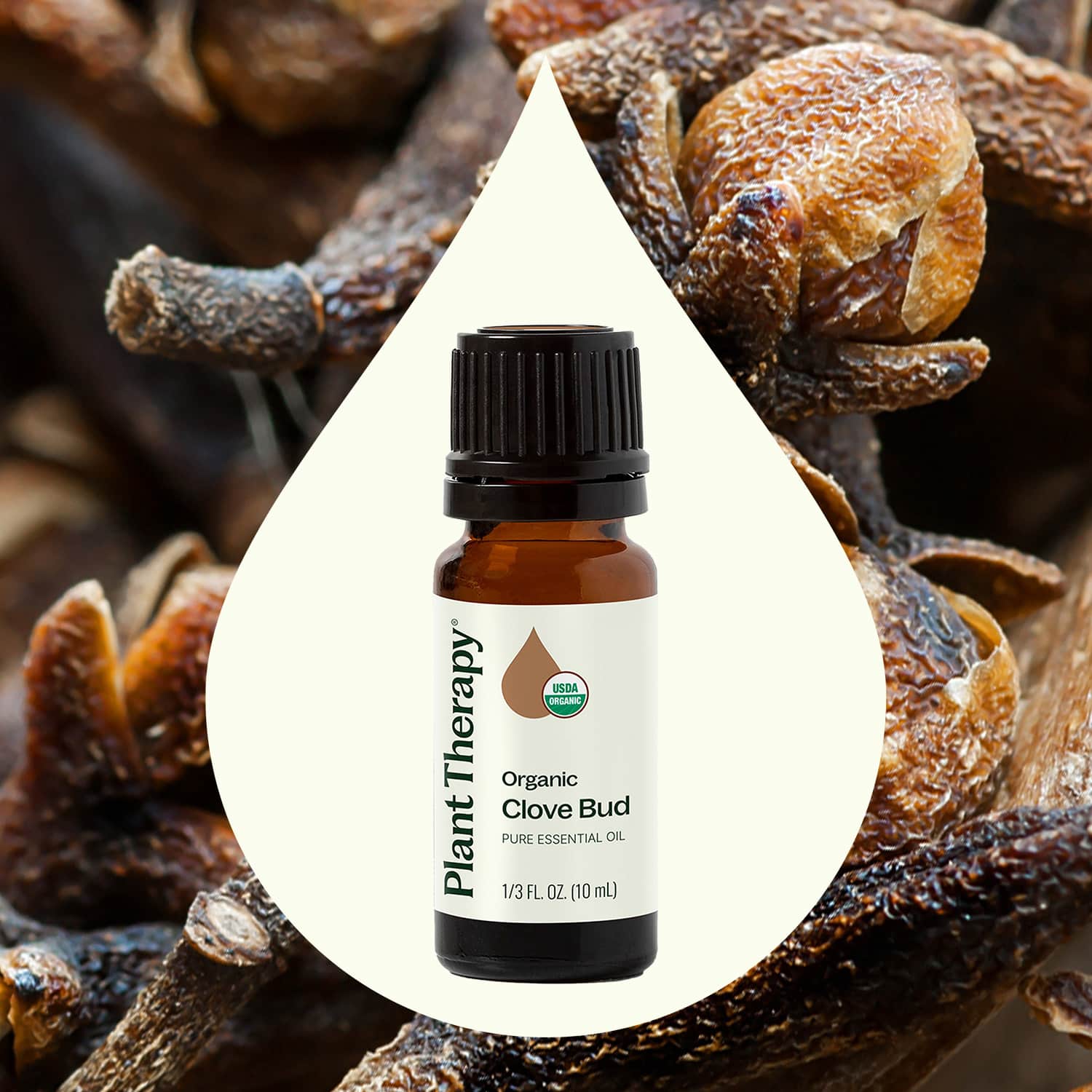 Organic Clove Bud Essential Oil - Image 2