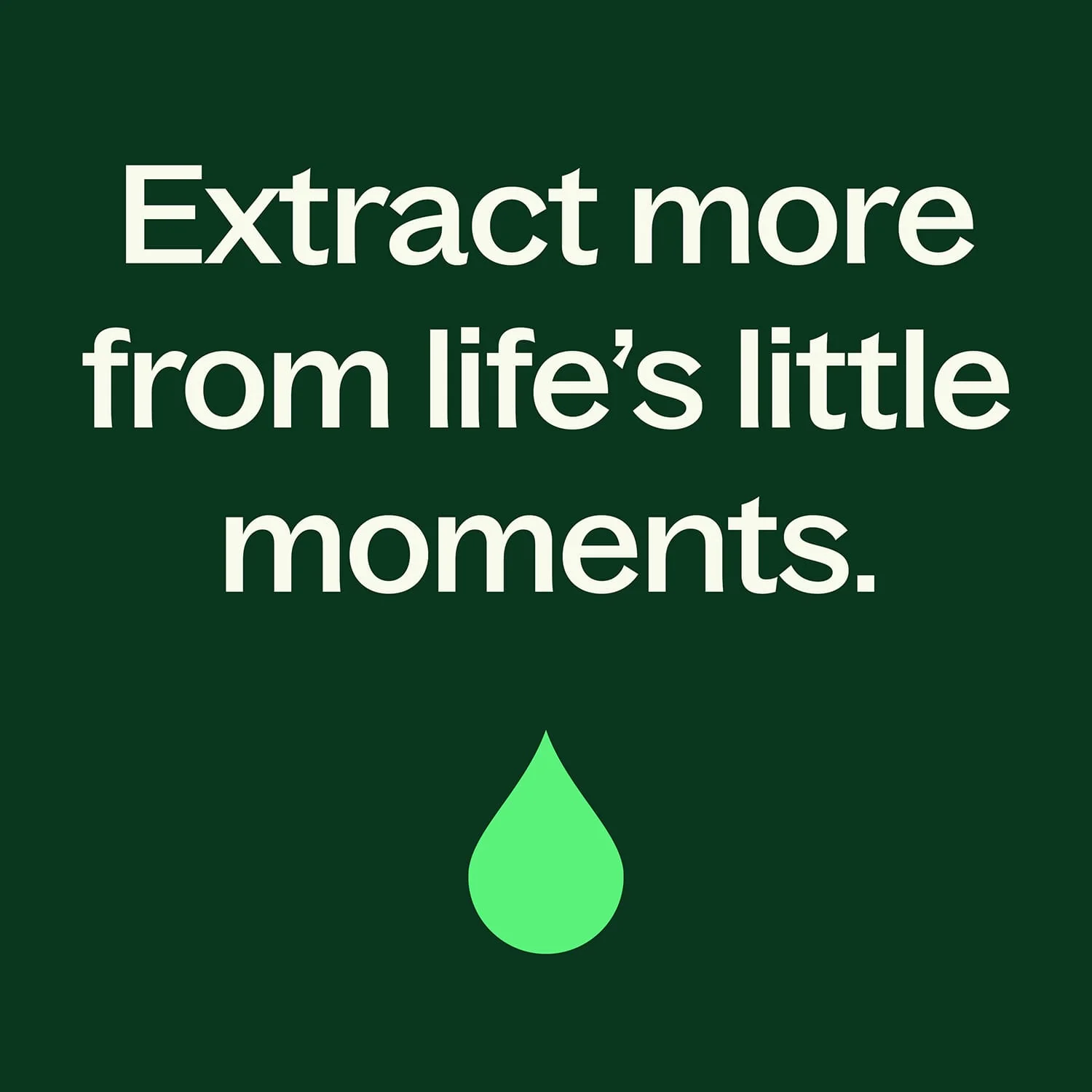 Organic Clove Bud Essential Oil - Image 6