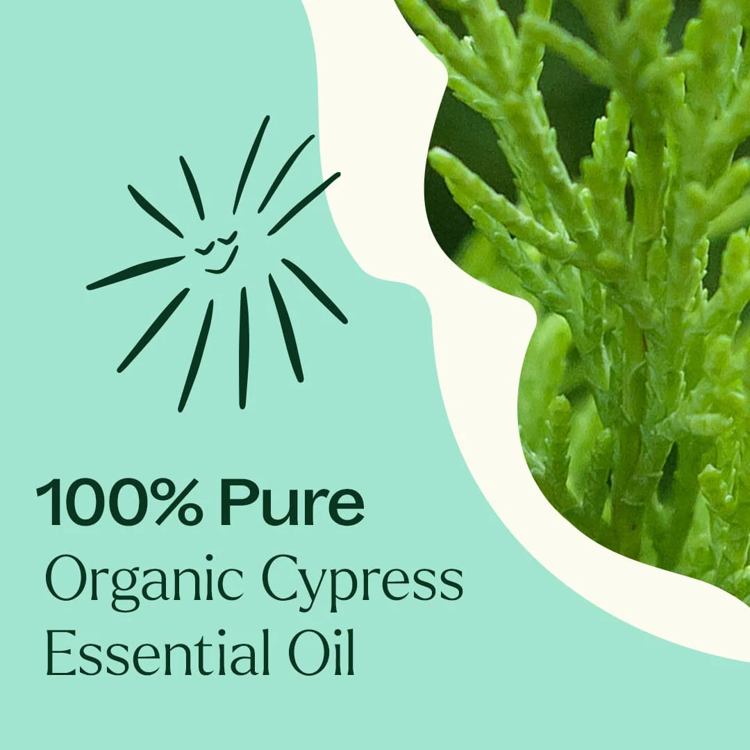 Organic Cypress Essential Oil - Image 4