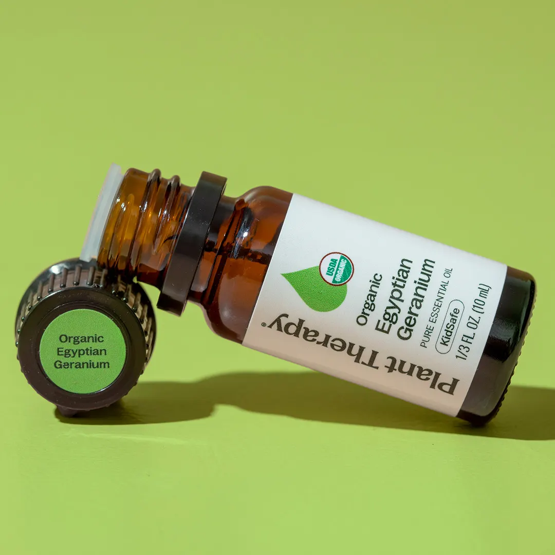 Organic Egyptian Geranium Essential Oil - Image 12