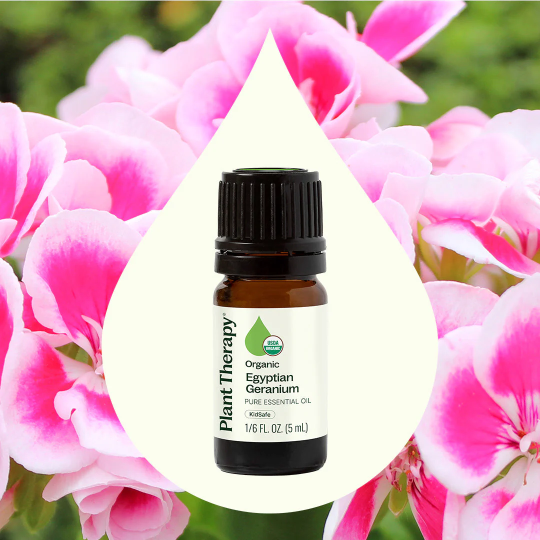Organic Egyptian Geranium Essential Oil - Image 2