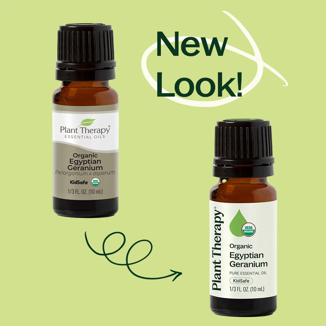 Organic Egyptian Geranium Essential Oil - Image 3